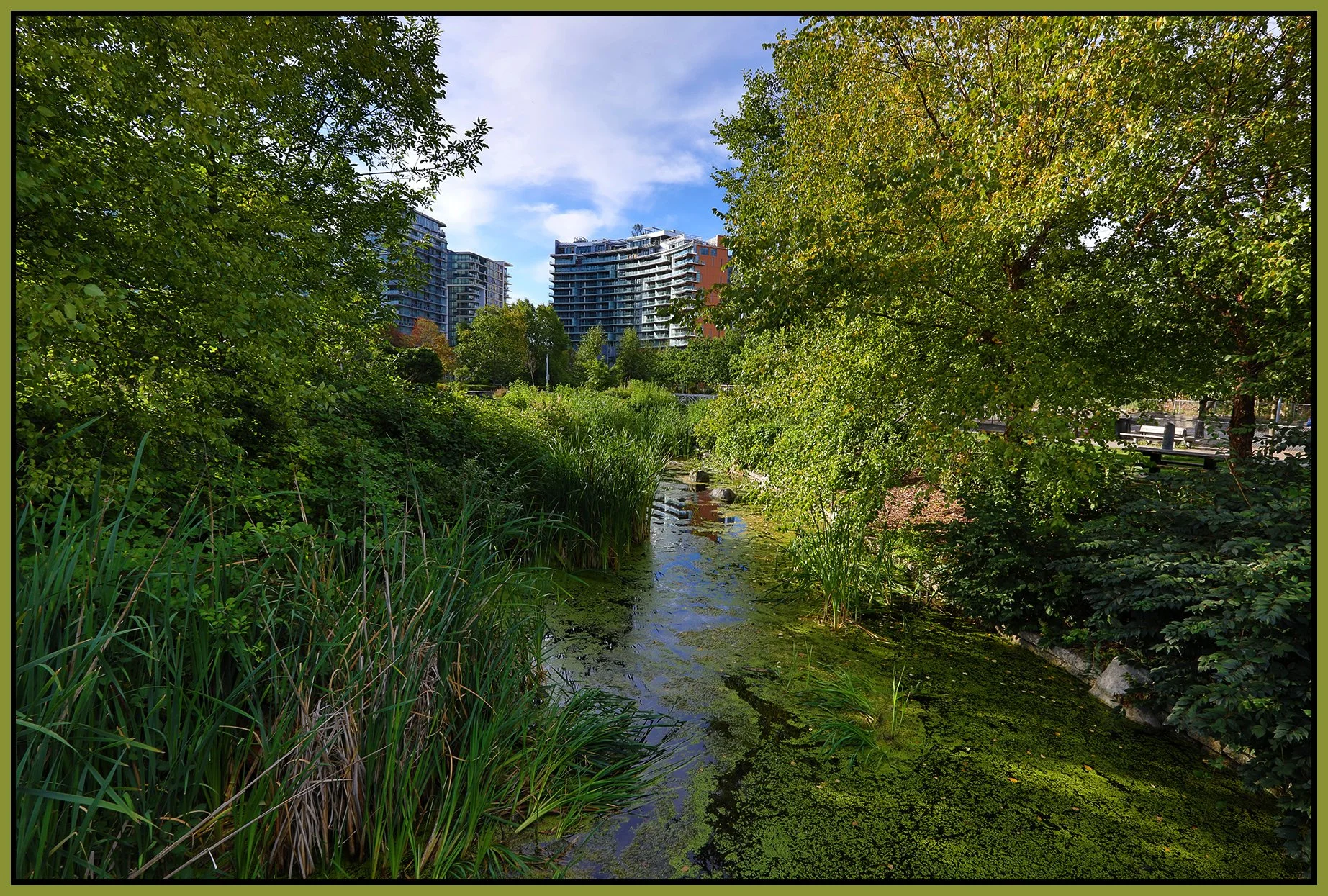 False Ck Creek Const_Sep 3_2021_HDR_5A1402_4x6s.jpg