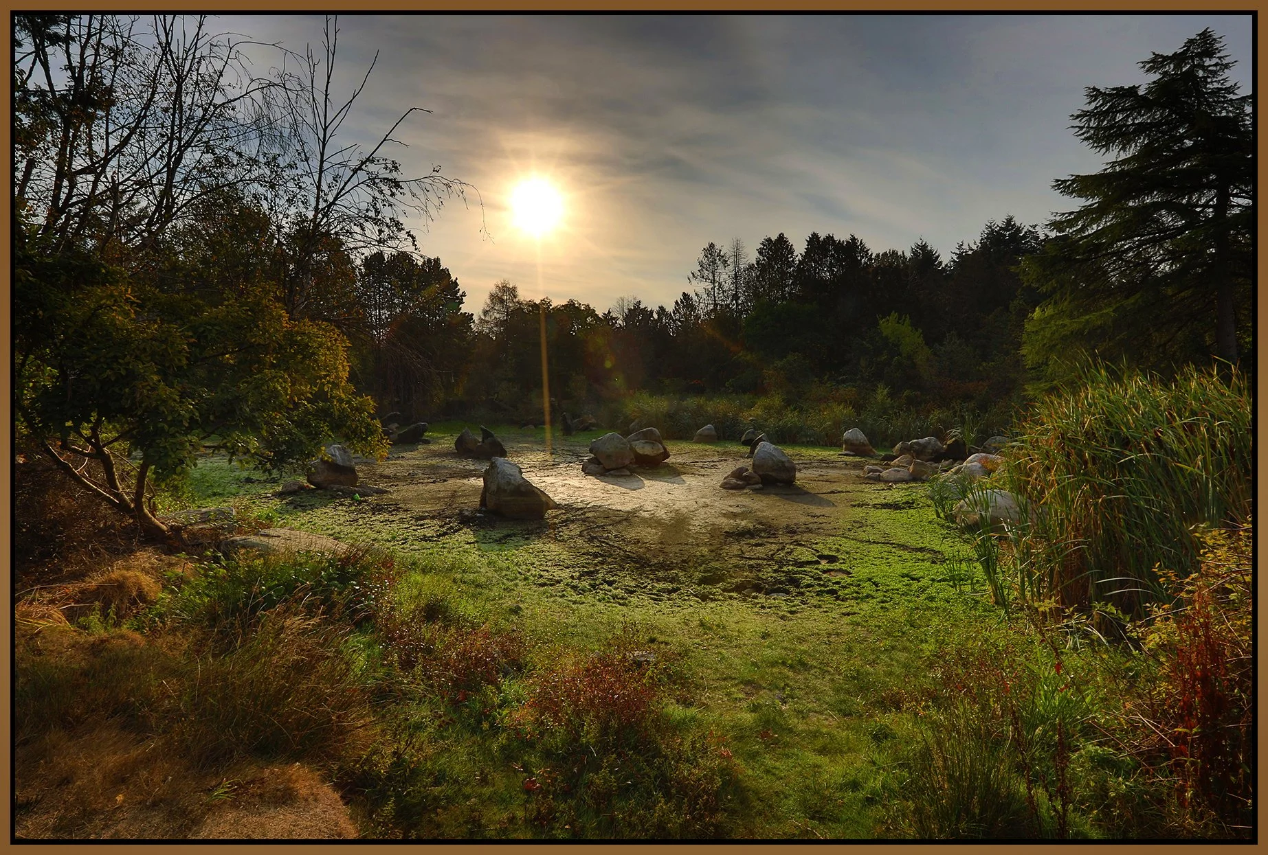Charleson Pk Pond_Oct 7_2022_HDR_5C0950_4x6s.jpg