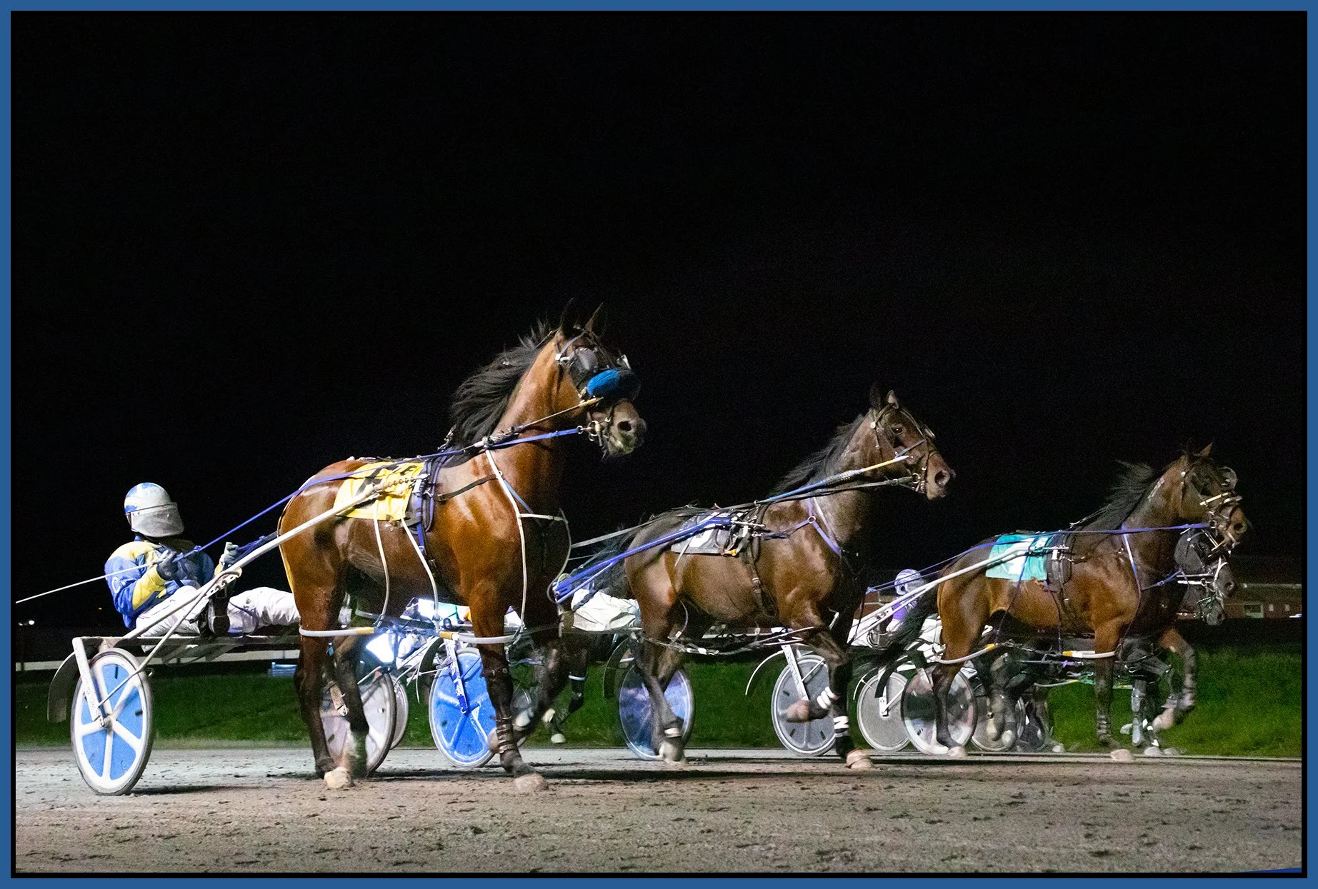 Fraser Downs_Oct 20_2021_CR2_5A7751_4x6s.jpg