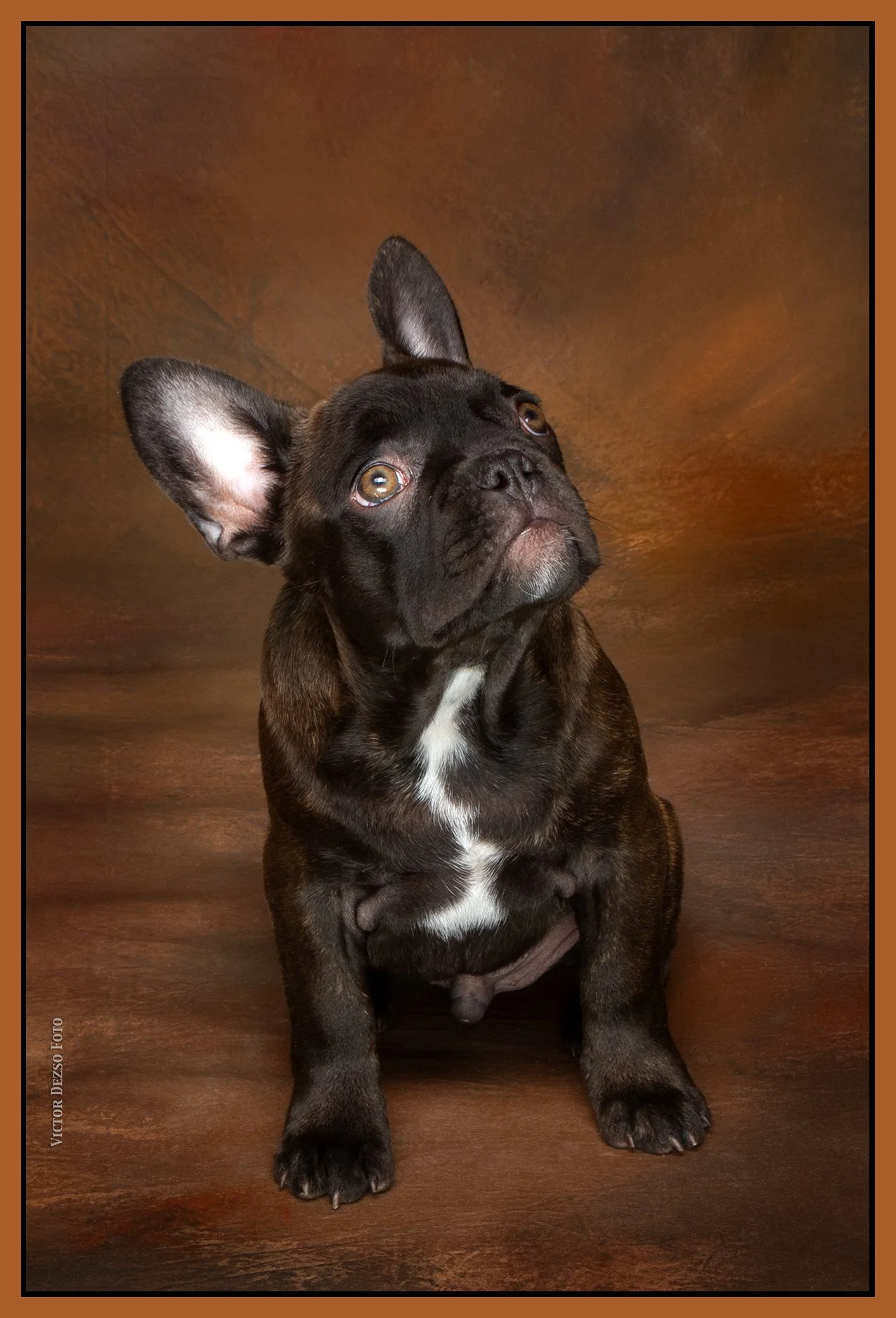 Fudge_Aug 27_2023_CR2_5C5221_4x6s.jpg