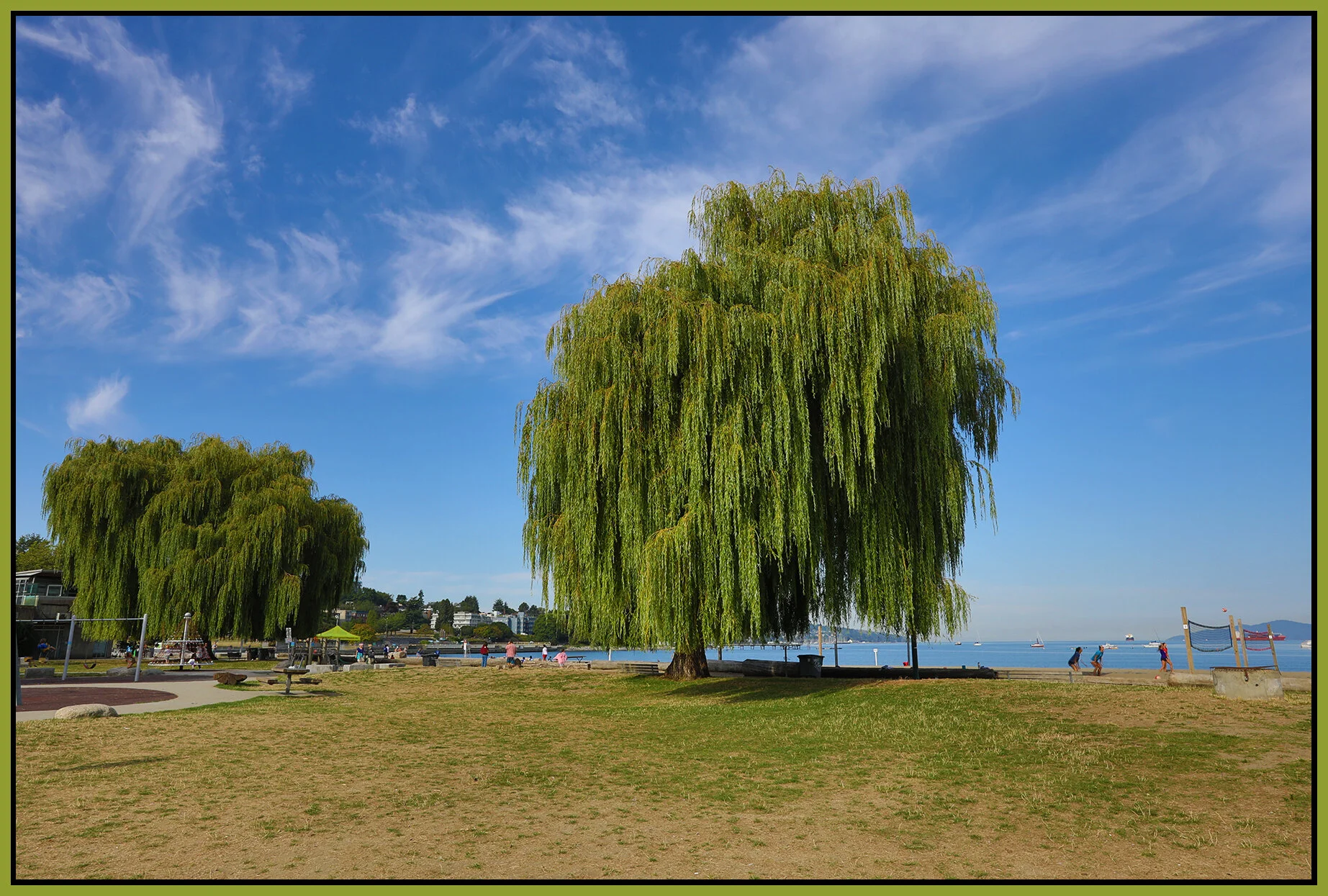 Kits Beach Trees_Aug 25_2021_HDR_5A9788_4x6s.jpg