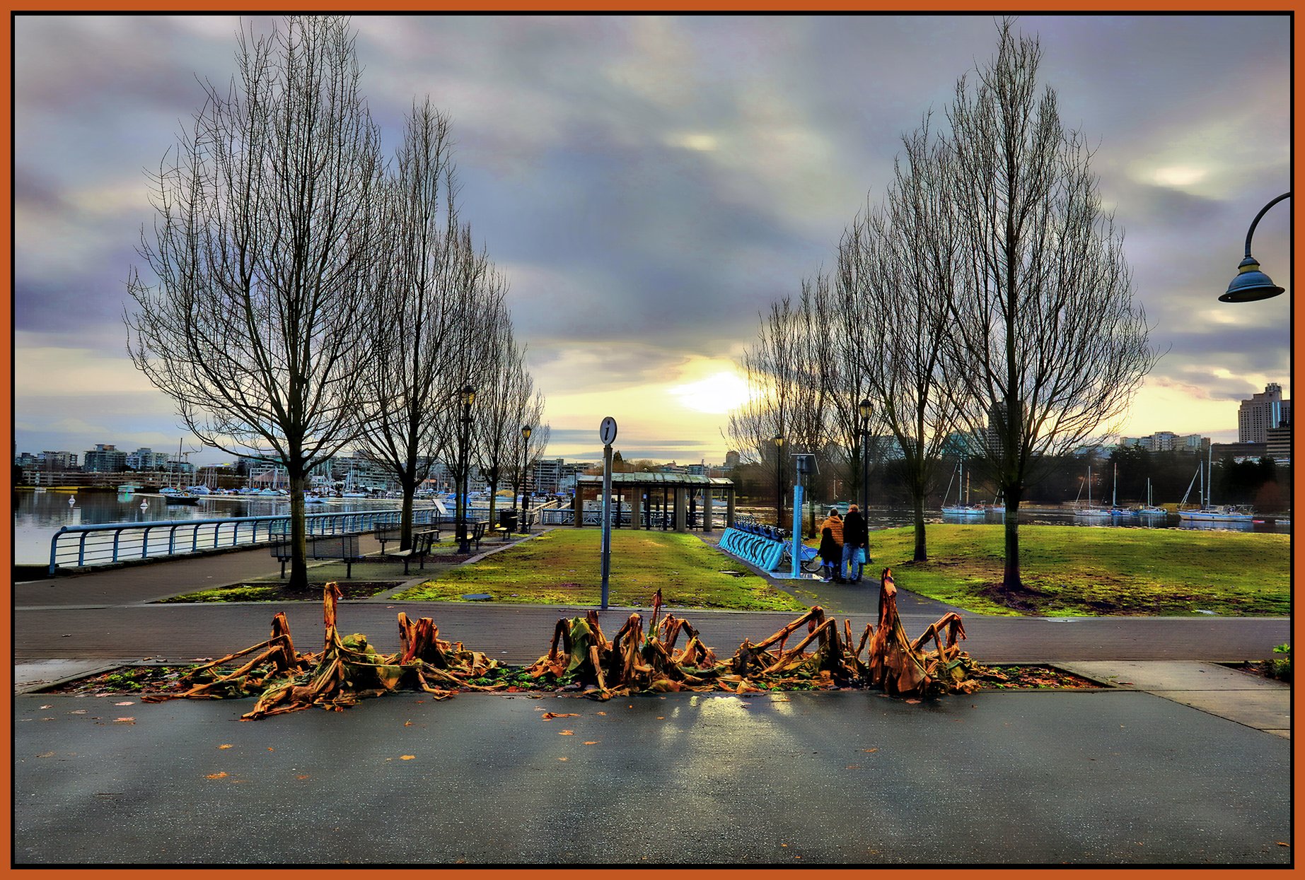 Concord Pacific Plants_Dec 26_2022_HDR_5D1319_peVibrClrs_Hdr2013_1_4x6s.jpg