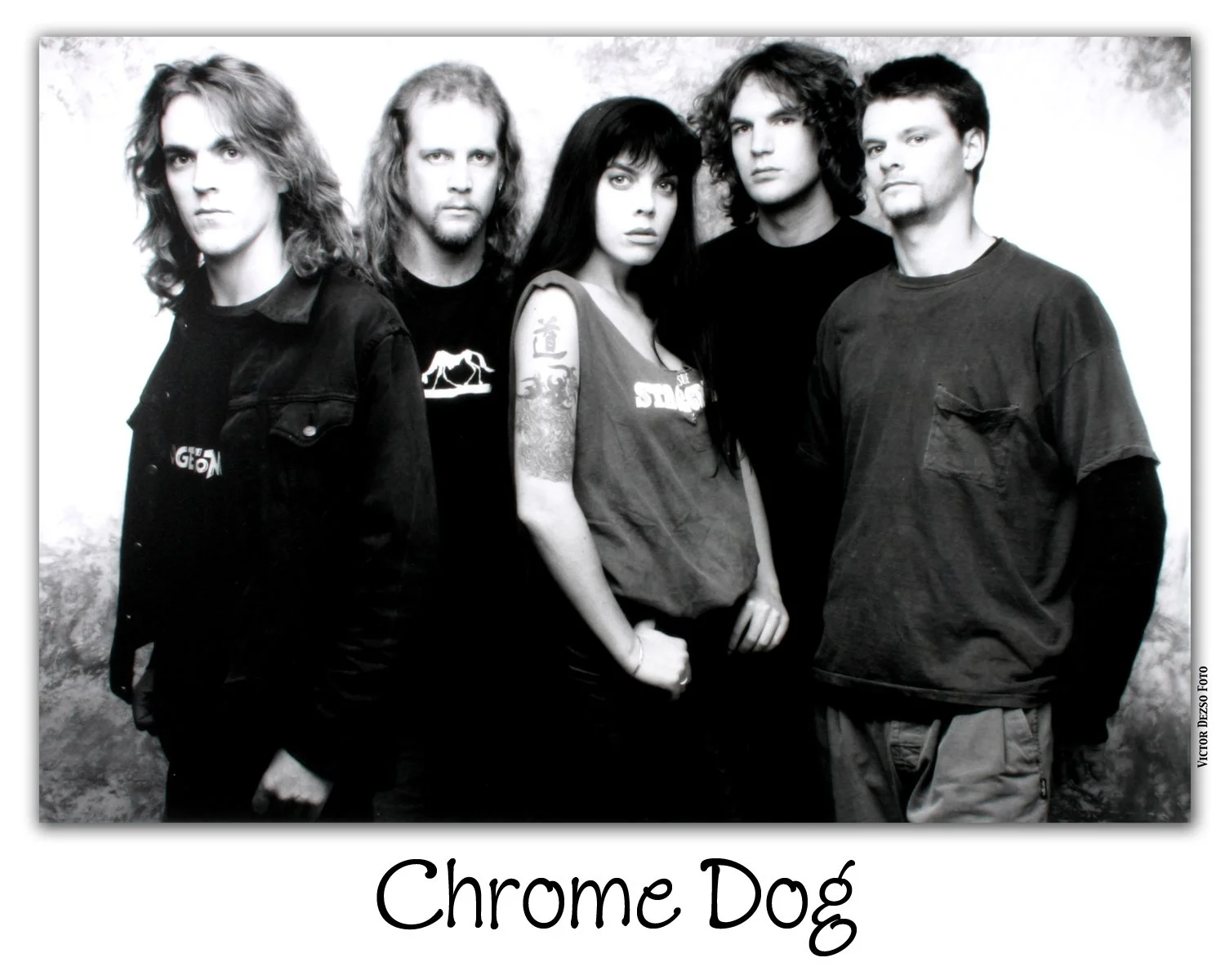 Chrome Dog_5898_4x5.jpg