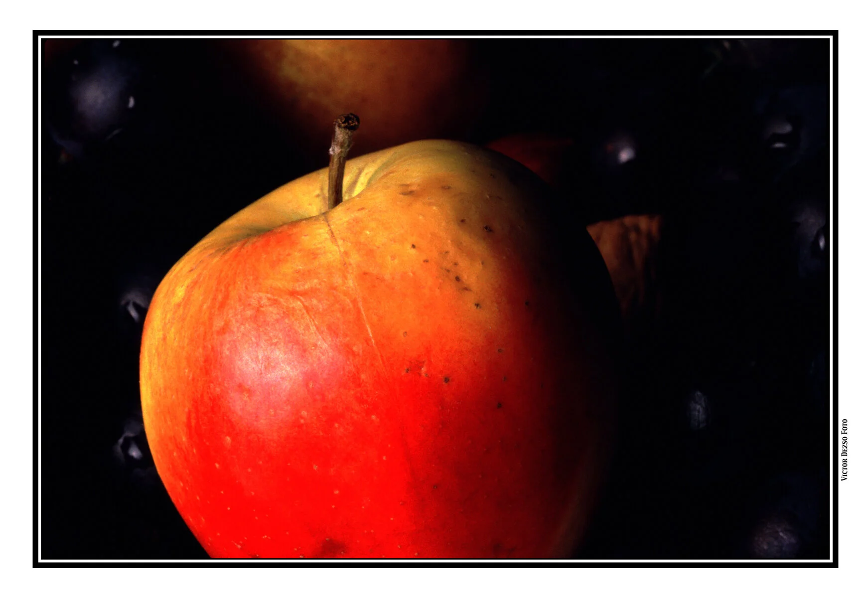Apple&Grapes_1_4x6s.jpg