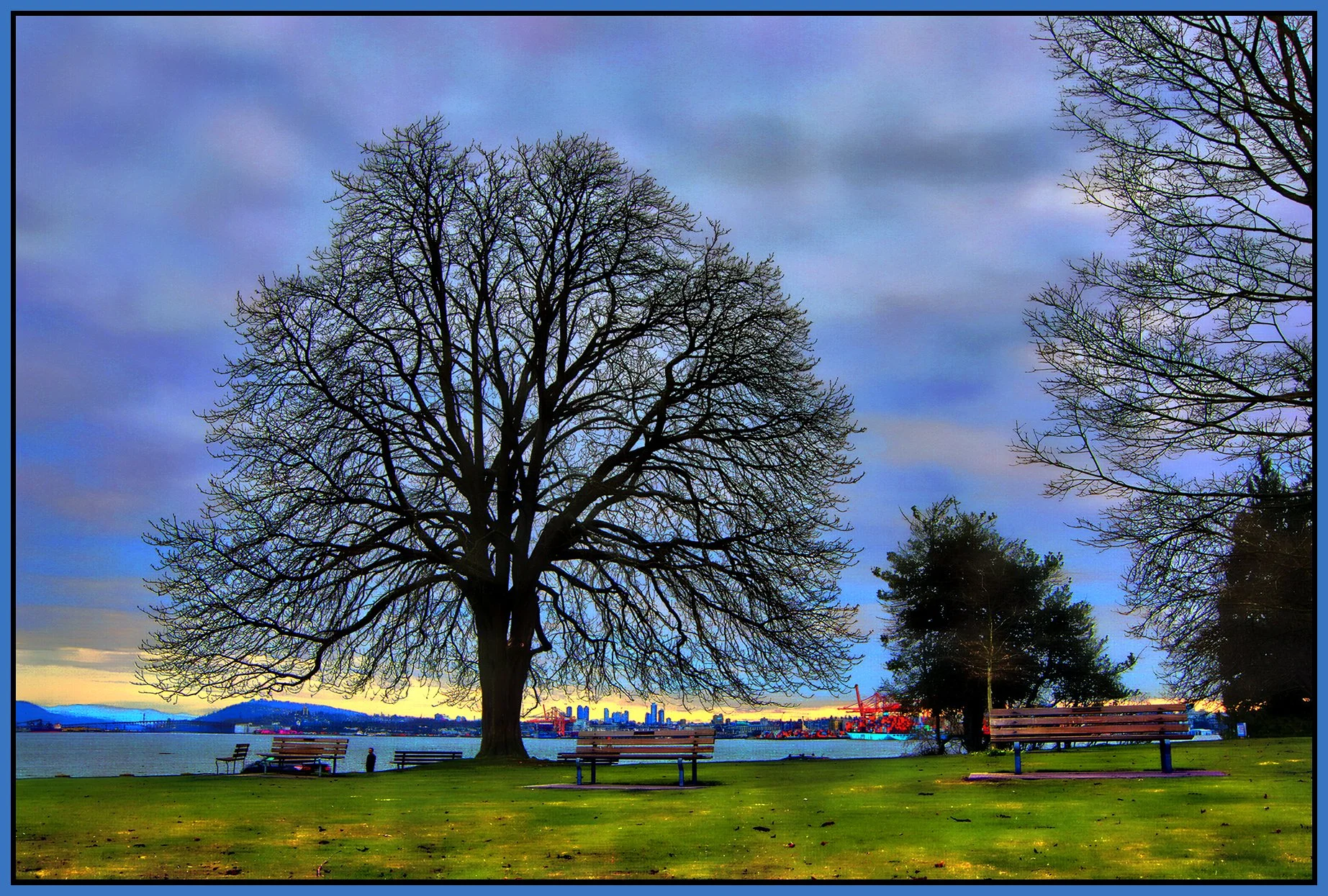 Stanley Park Lighthouse Tree LkgE_Feb 20_2026_HDR_5F6139_peVibr Clrs_Hdr2013_1_4x6s.jpg