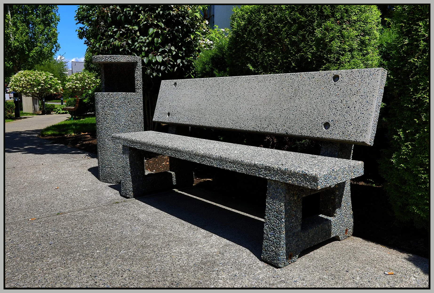 Bench at The Castle_Jun 30_2019_HDR_E4300_4x6s.jpg