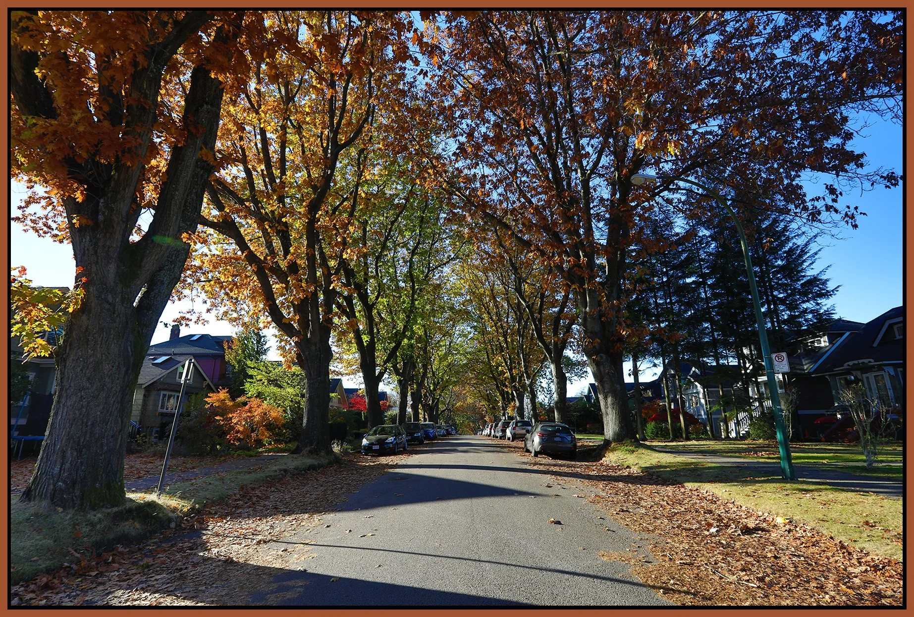 2700 Eton St LkgW Trees_Nov 13_2022_HDR_5C5666_4x6s.jpg