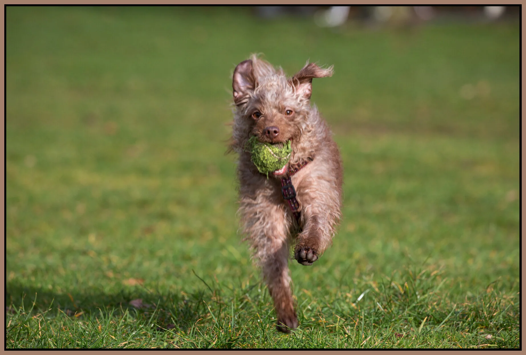 Frances in Cates Pk_Jan 24_2016_K7352_4x6s.jpg