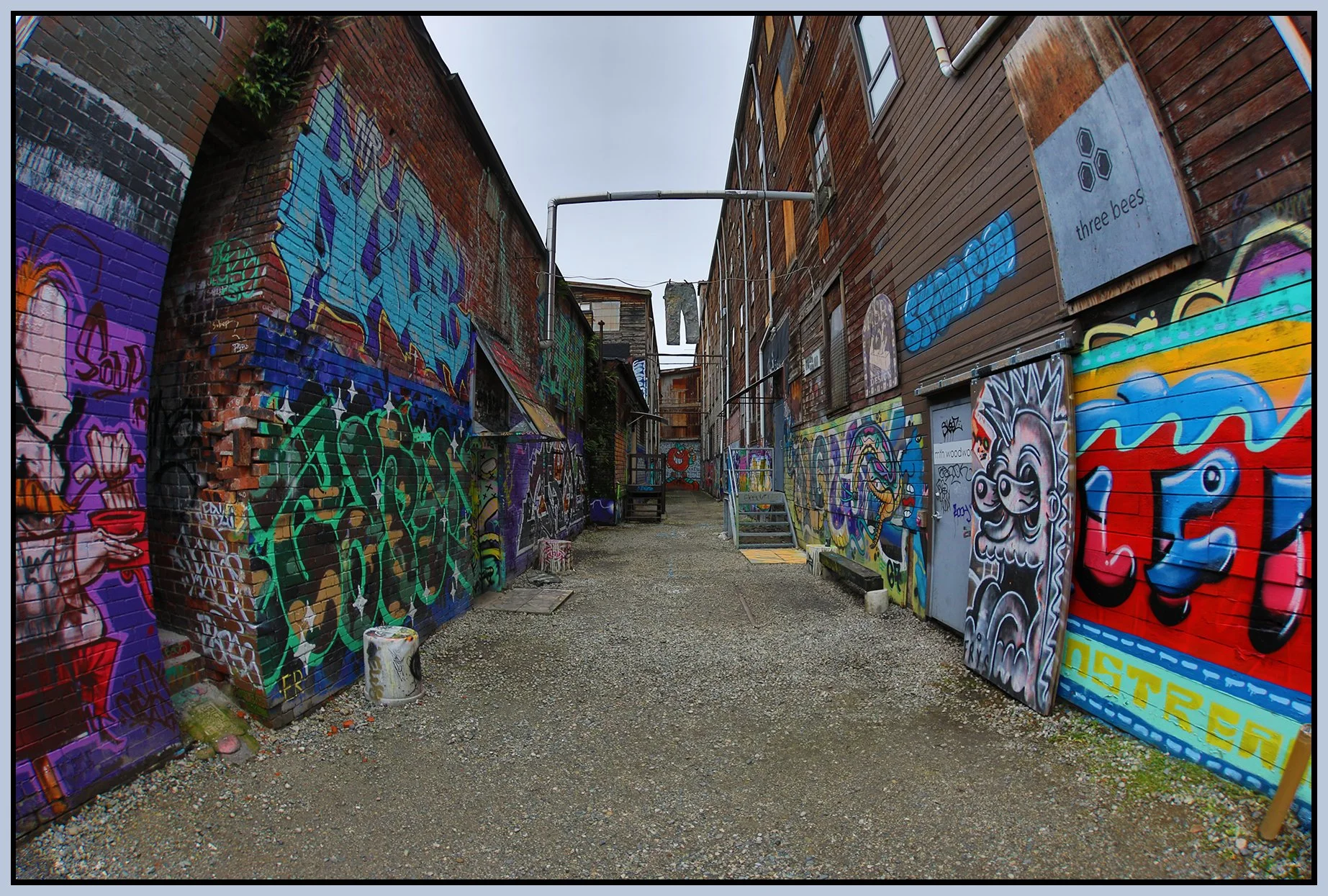 1000 Parker Alley Graffiti_Jan 19_2022_HDR_4G6212_4x6s.jpg