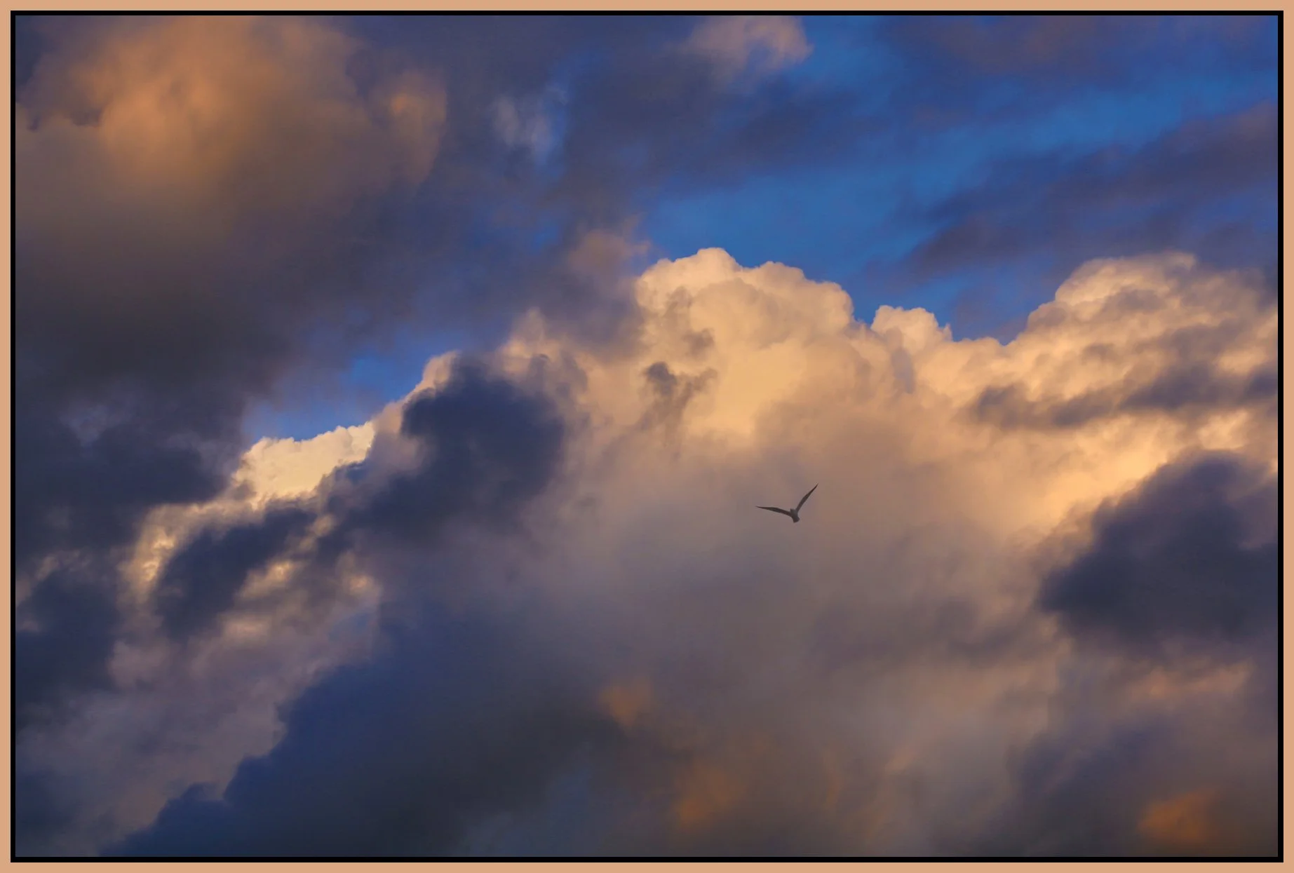 Clouds & Bird_Apr 3_2015_HDR_F0144_4x6s.jpg