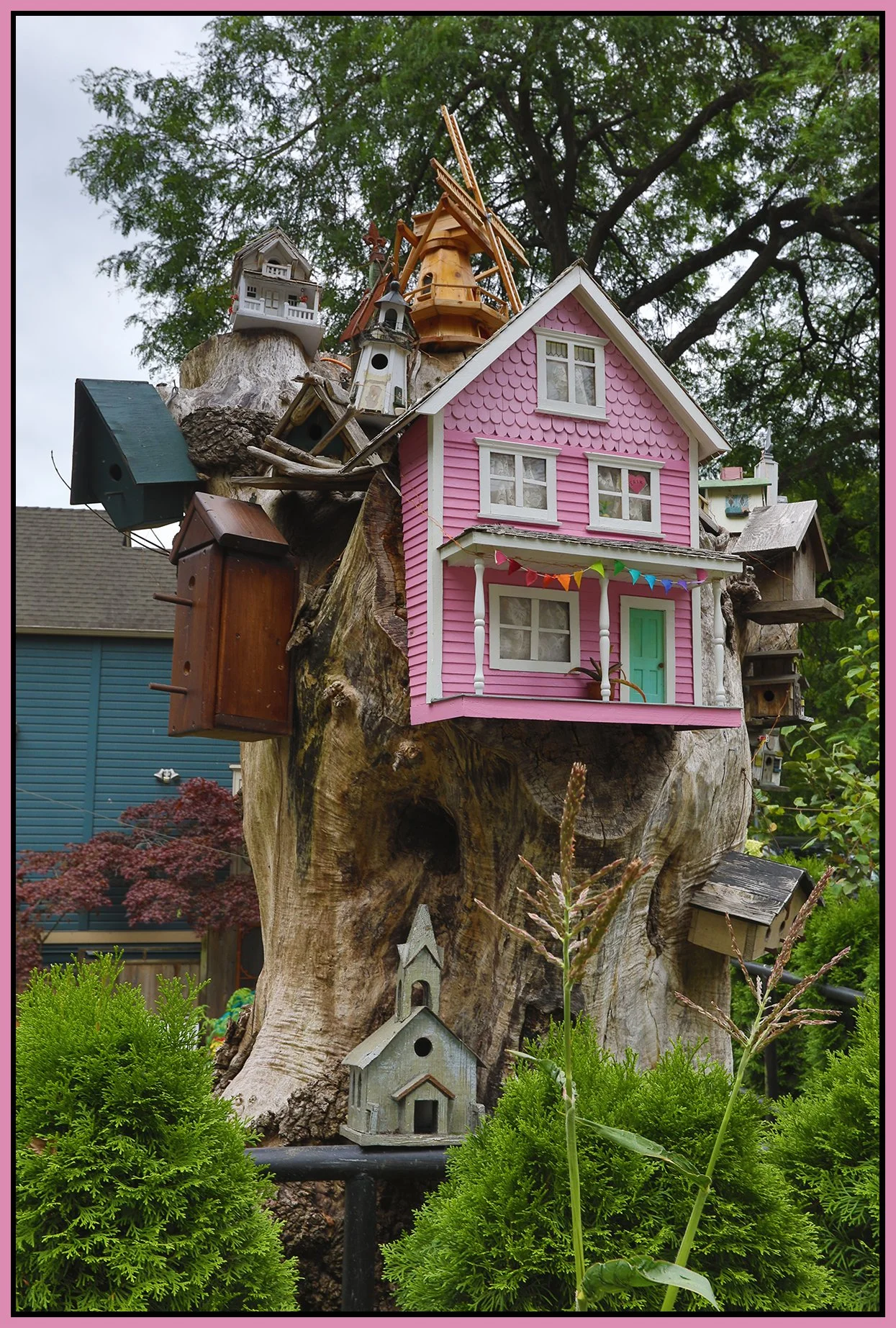 580 Heatley Tree House_Aug 14_2025_HDR_4K1016_4x6s.jpg