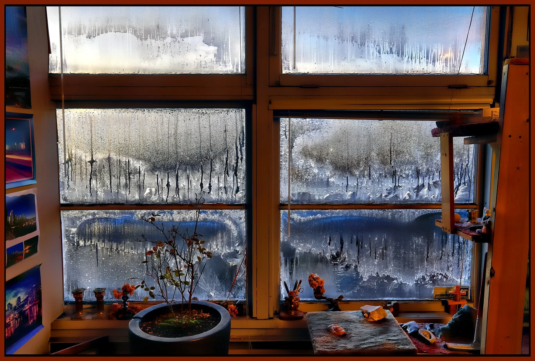 Frosty Windows_Jan 12_2024_HDR_4H0300_peHdr2013_1_4x6s.jpg