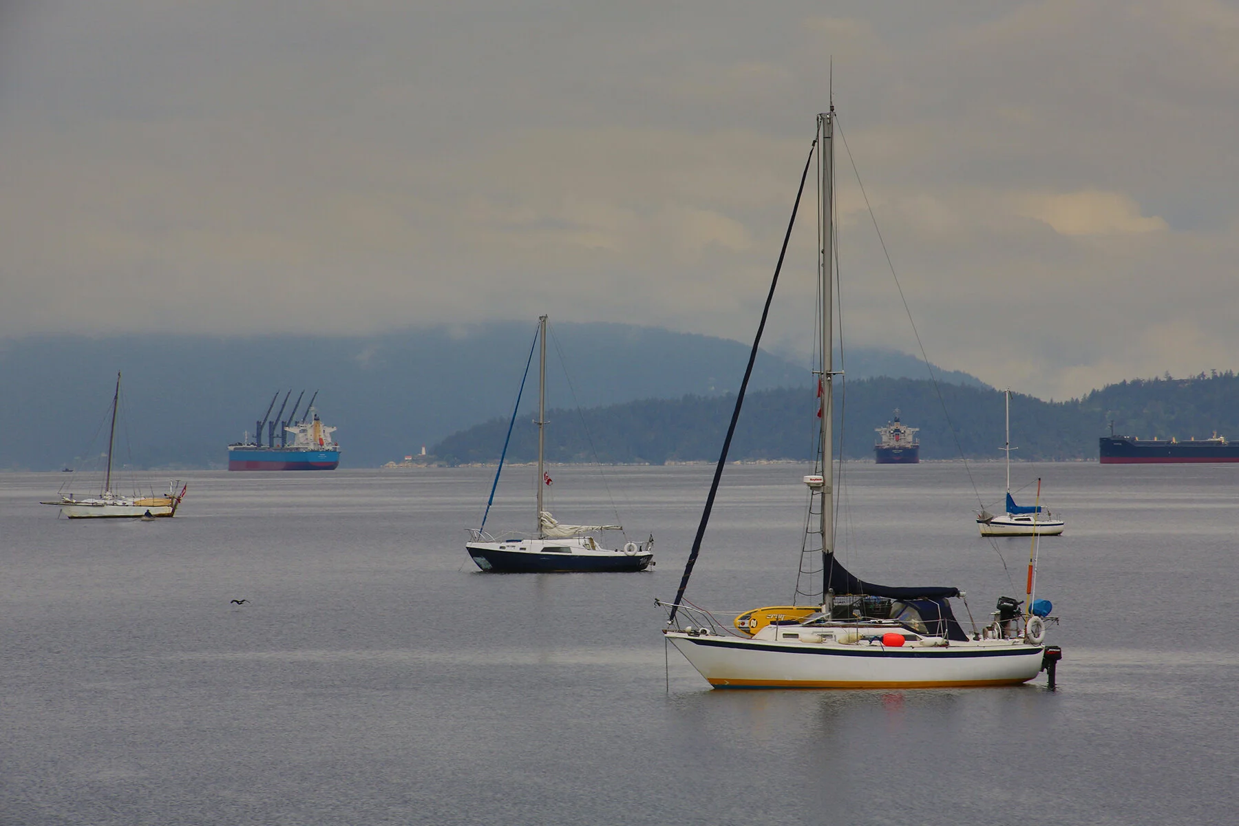 English Bay Boats LkgNW_May 14_2020_HDR_3B6364_4x6.jpg