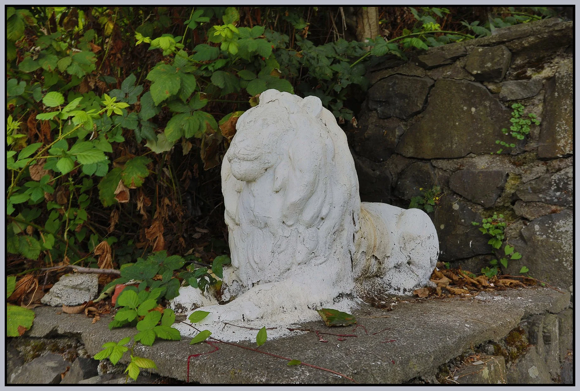 GNW_Lion Art_Sep 7_2025_HDR_4K2588_4x6s.jpg