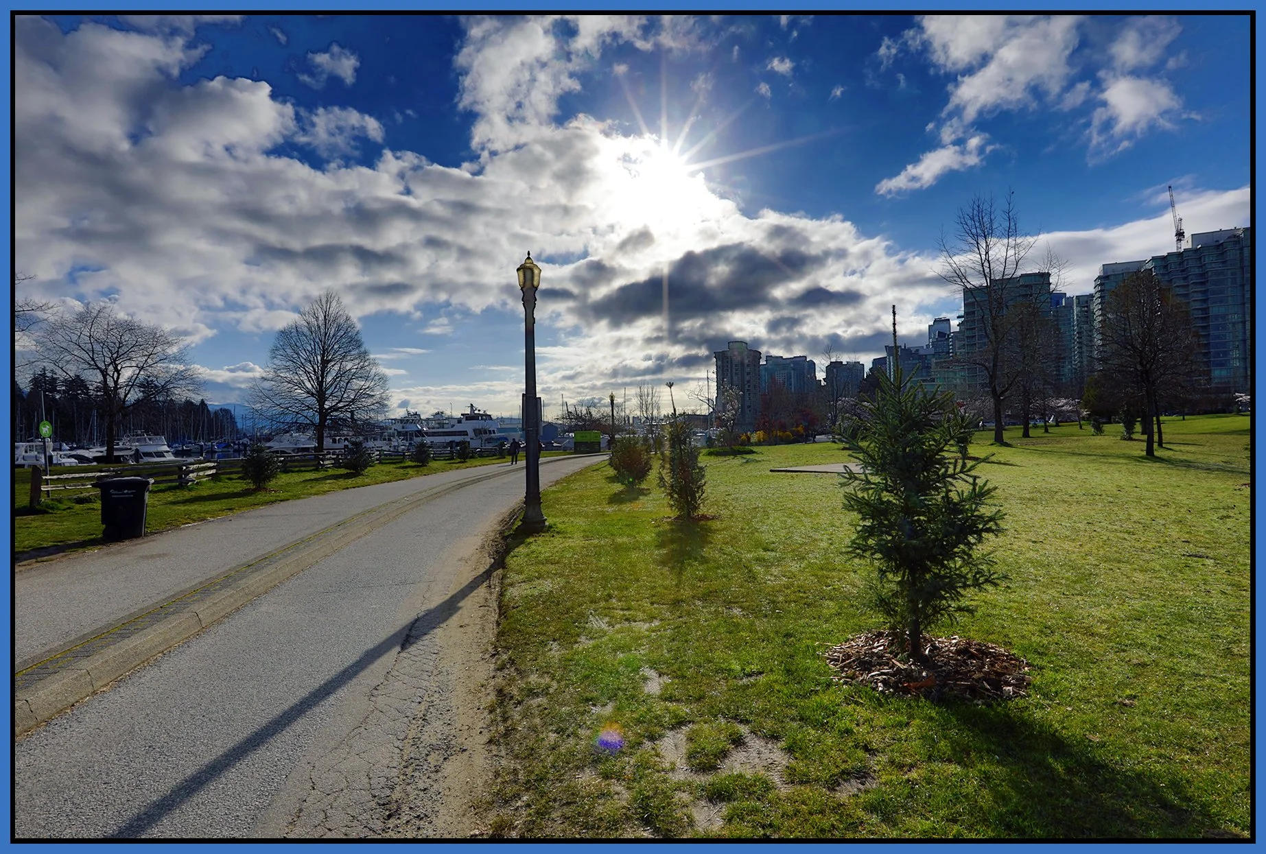 Devonian Harbour Park Trees_Mar 30_2026_HDR_4L0804_peLevelCorrct_4x6s.jpg