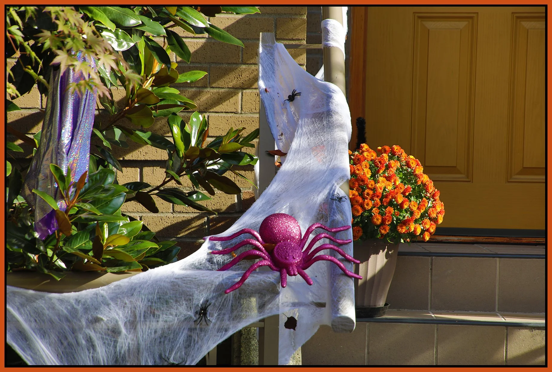 Seabreeze Walk T10 Halloween_Oct 15_2026_HDR_4L5005_4x6s.jpg