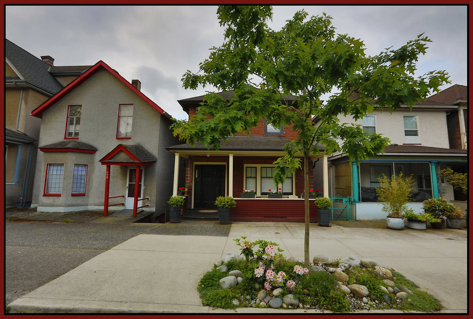 446 Union St Tree_May 30_2024_HDR_4H9999_4x6s.jpg