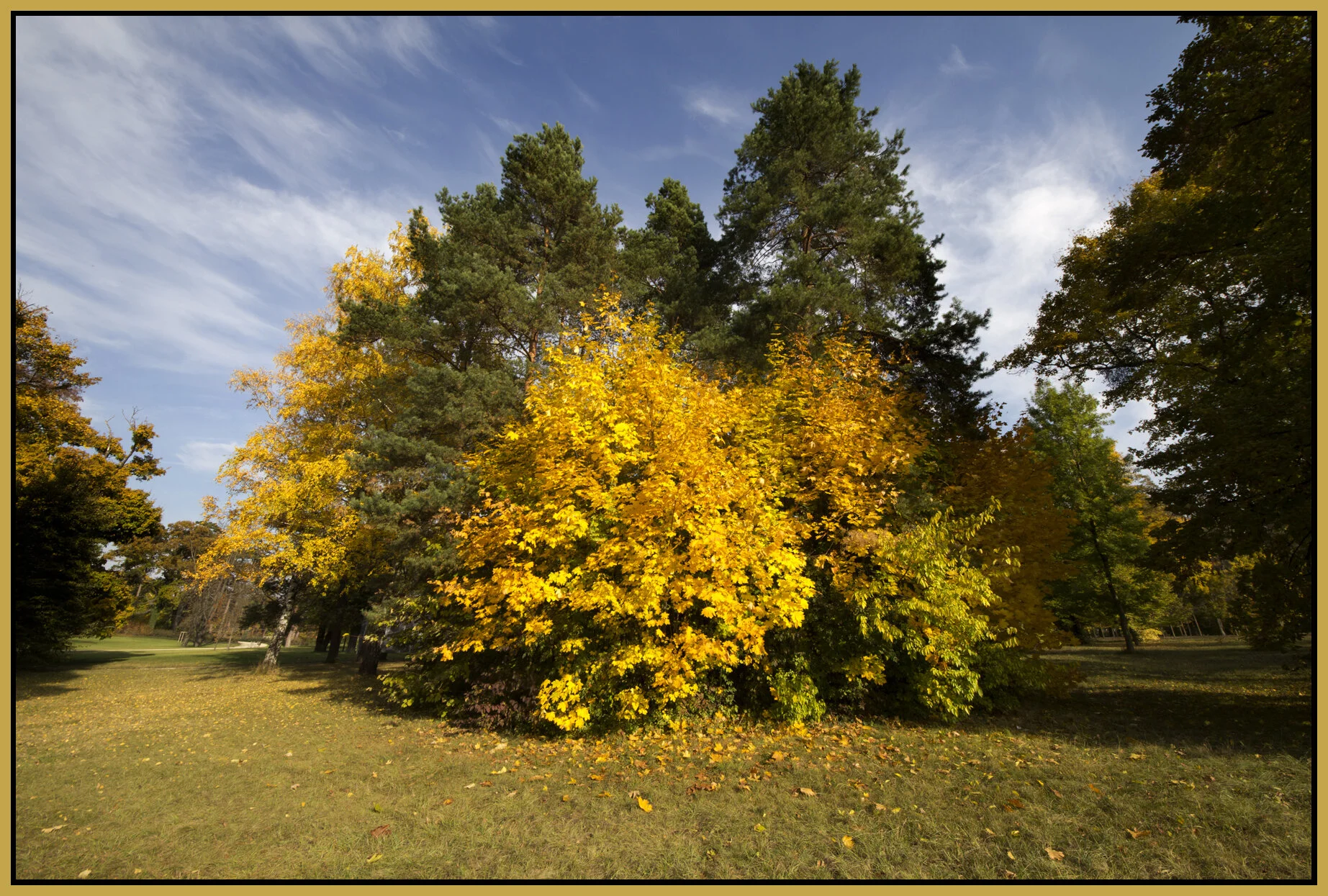 Gödölö_Oct_27_2011_7210_4x6s.jpg