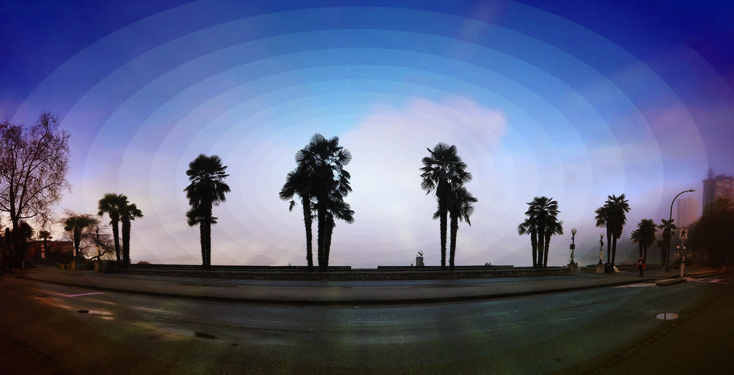 English Bay Palm Trees_Jan 6_2025_HDR_Pan_5E7313_peMajorTweaks_1_4x8.jpg