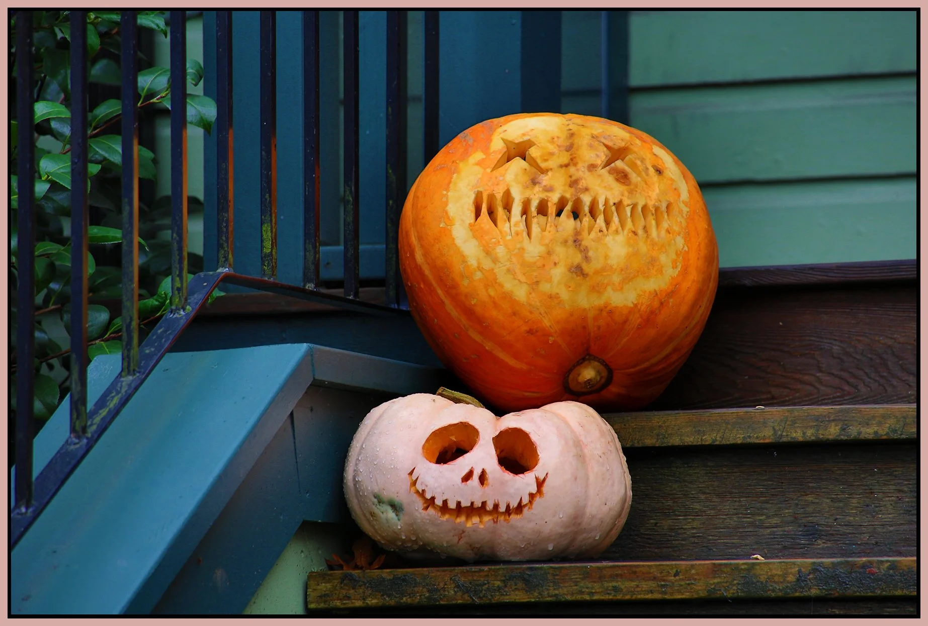 Pumpkins_Nov 2_2015_HDR_FH9569_4x6s.jpg