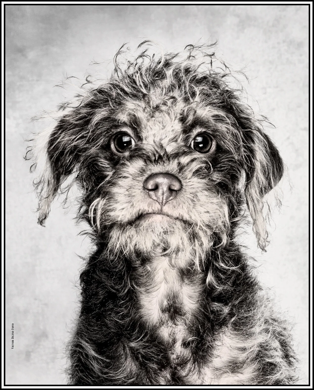 Frances Stewart_Feb 14_2015_F0496_pePencil_4x5s.jpg