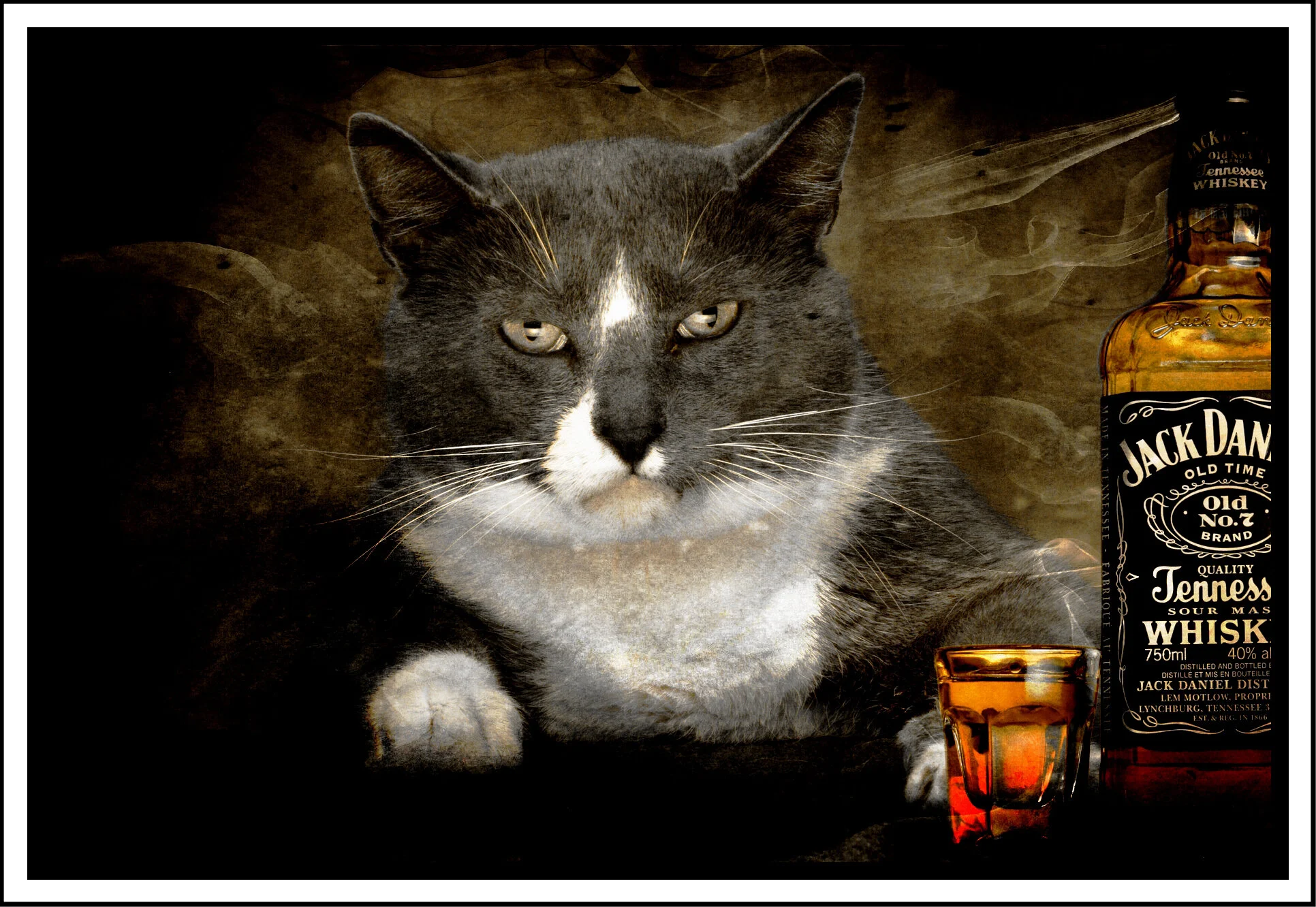 Einstein&Jack_Dec 12_2010_7360_peTruck_4x6s.jpg