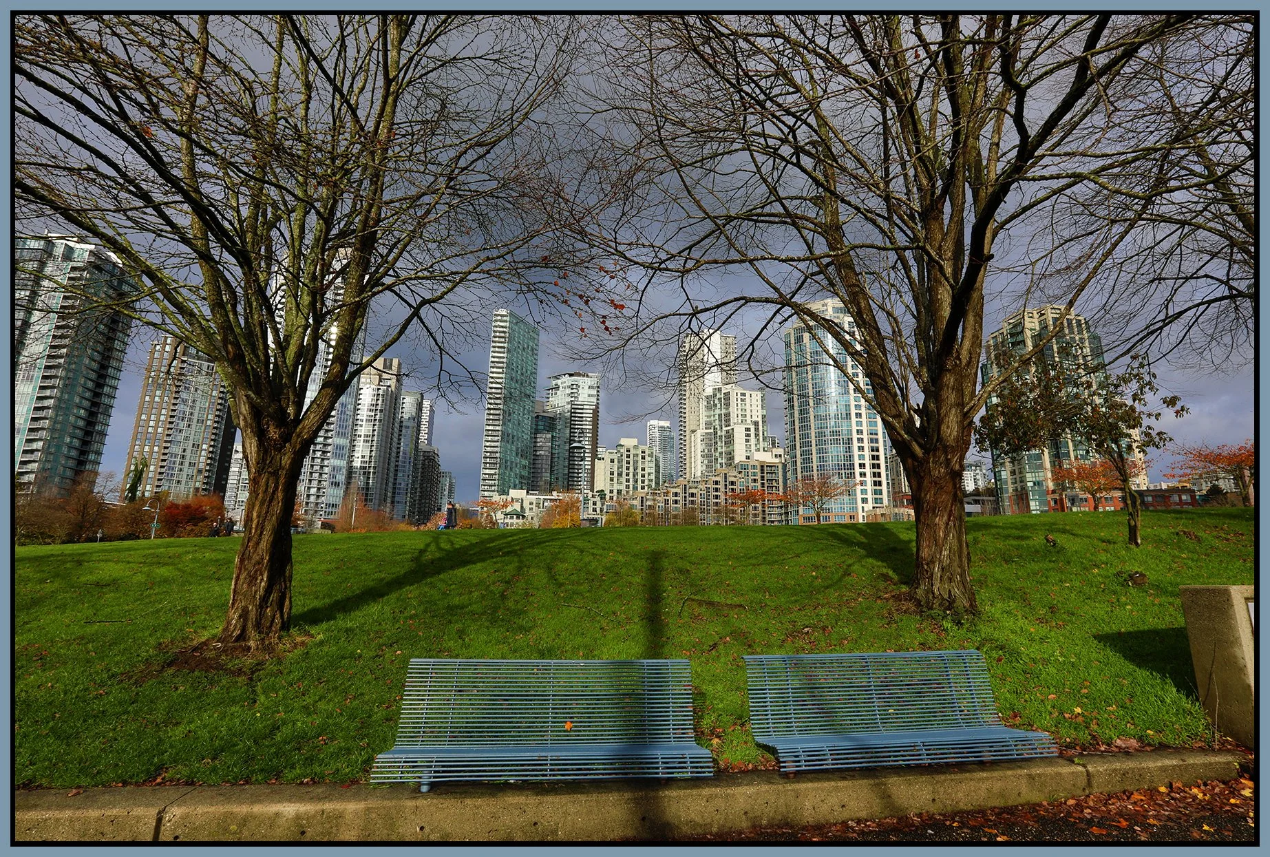 David Lam Park LkgN_Nov 12_2023_HDR_5C9404_4x6s.jpg