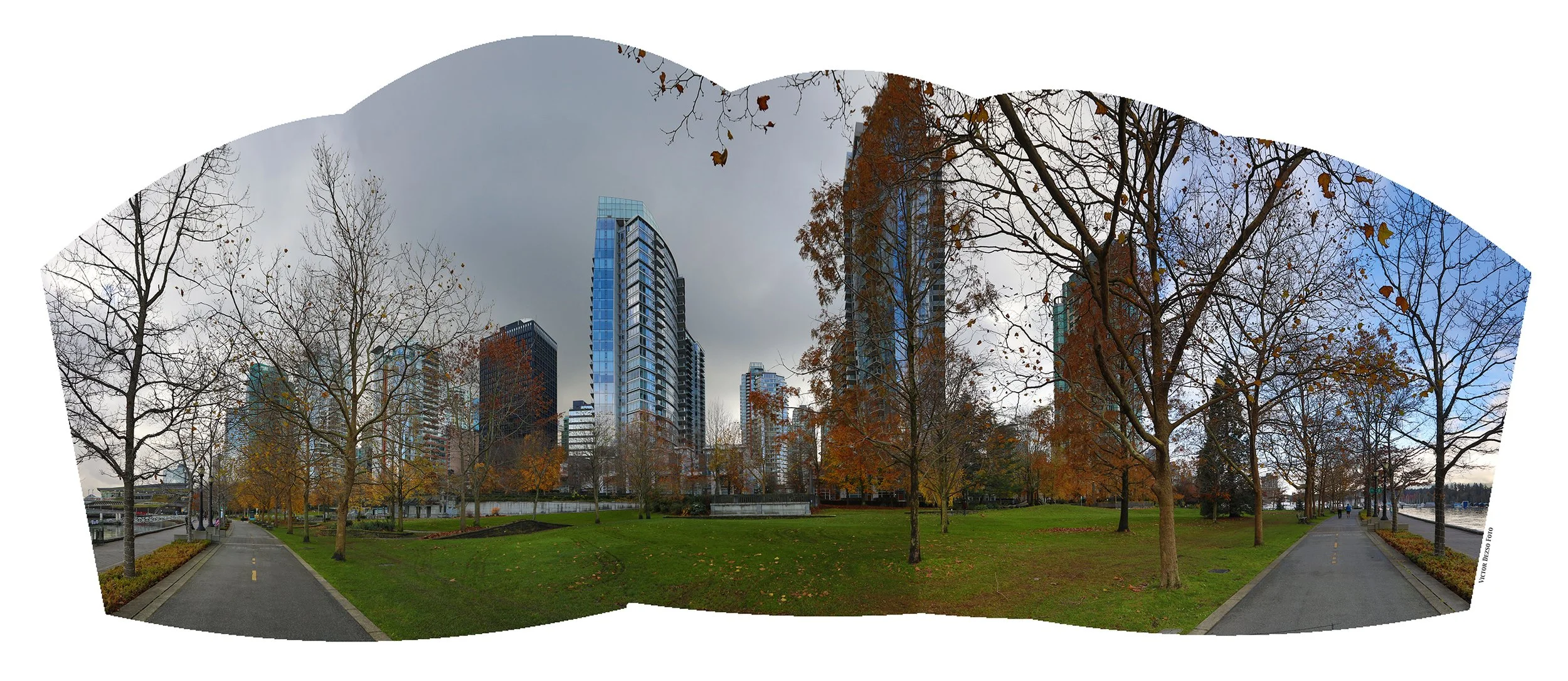Harbour Green Park Trees LkgS_Nov 15_2024_HDR_Pan_5E5030_4x9.jpg