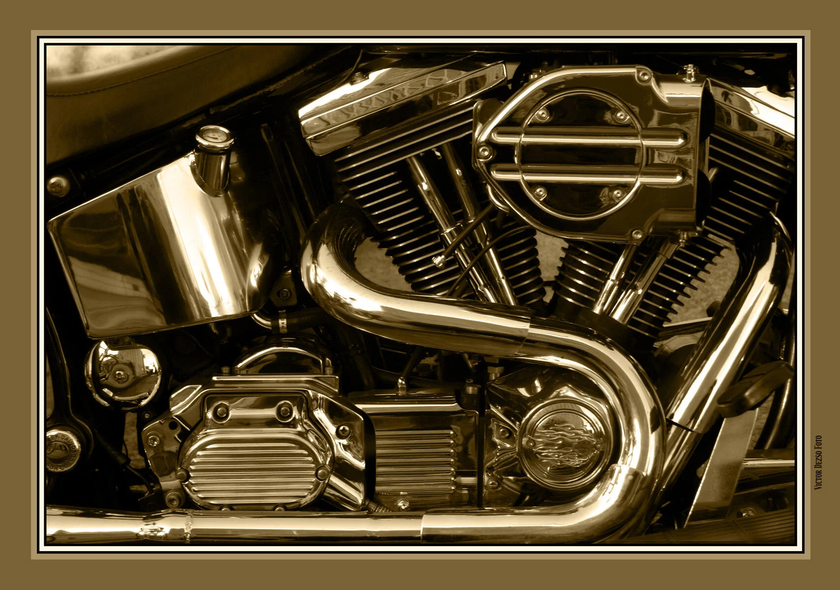 Harley_8244_1_Sepia_4x6s.jpg