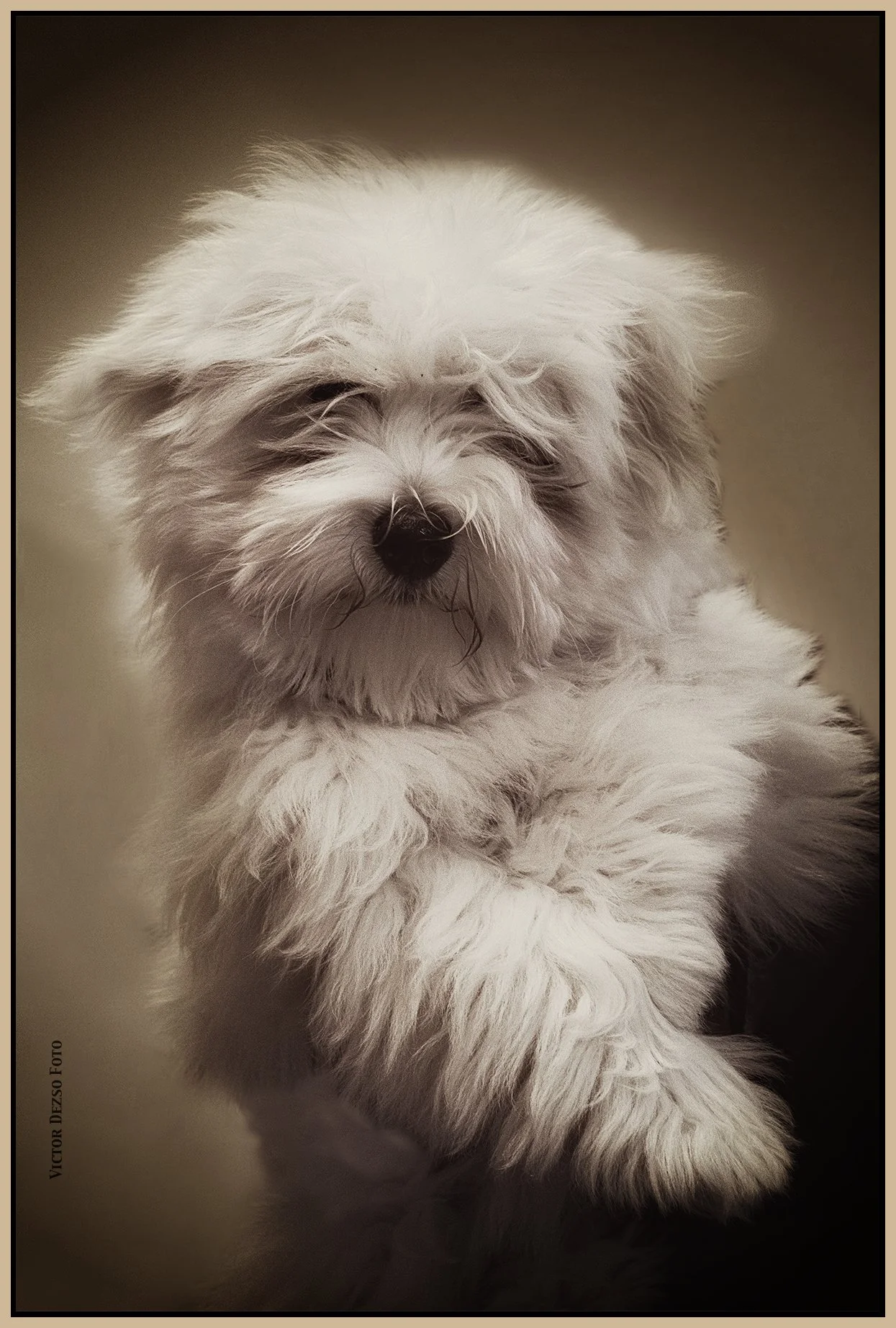 Micah in New West_Feb 2_2023_4H5457_1_peDetail_Girlfriend_4x6s.jpg