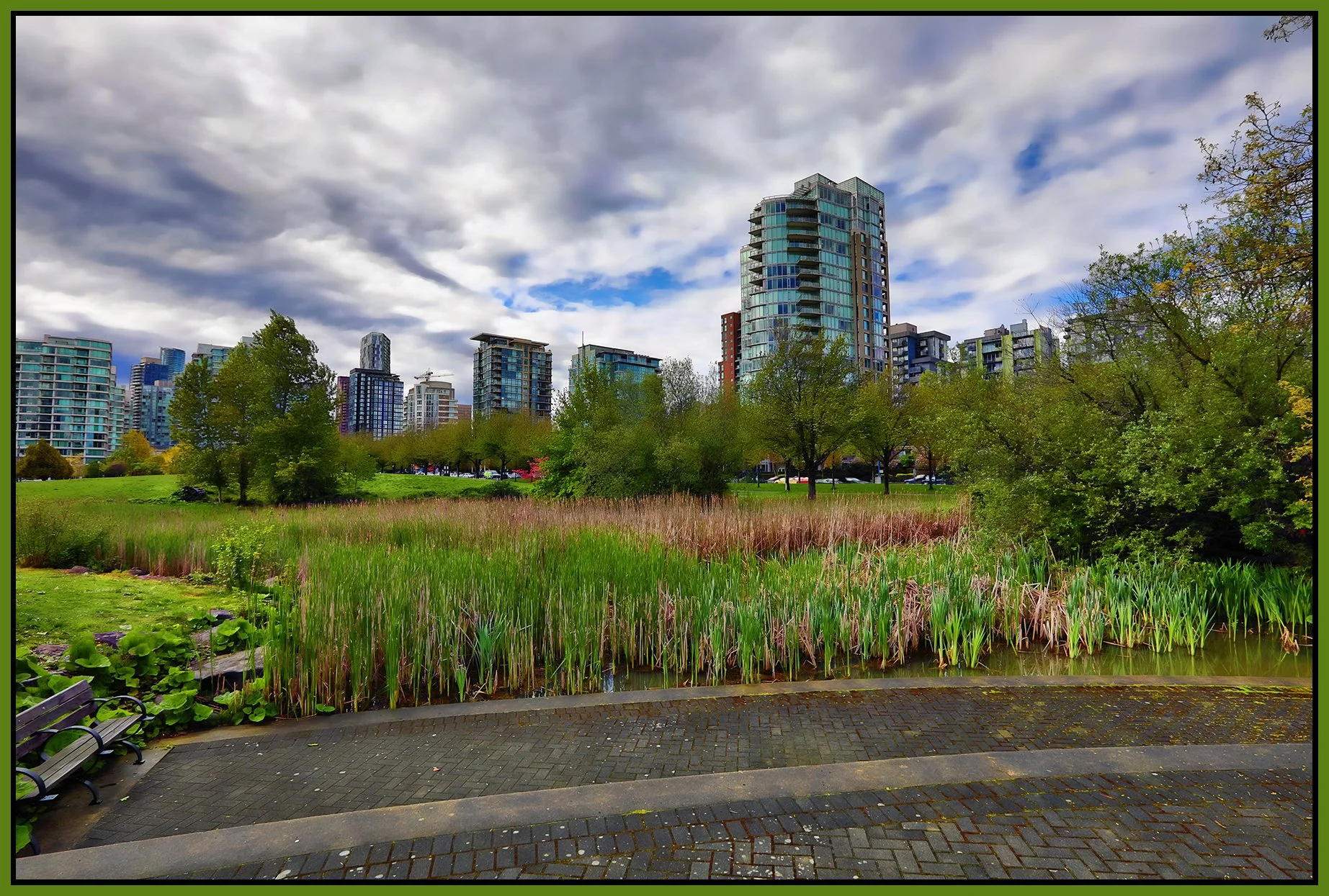 Stanley Park Bullrushes_May 16_2022_HDR_5B4878_peShdngCntrst_4x6s.jpg