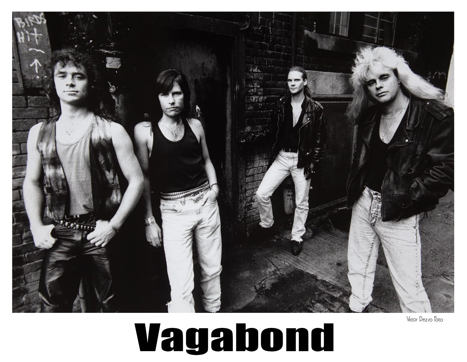 Vagabond_2761_4x5.jpg