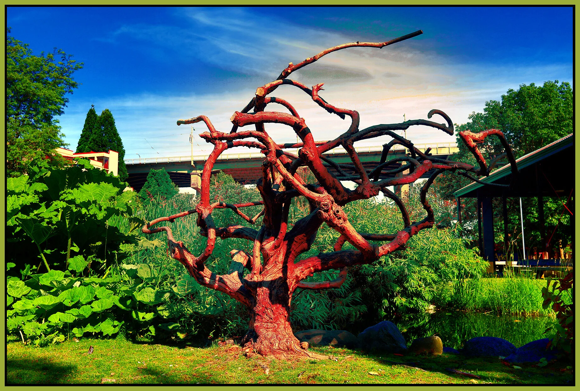 Tree on Granville Is_Jun 12_2019_HDR_E0132_peFilmam&VibrDrkn_4x6s.jpg