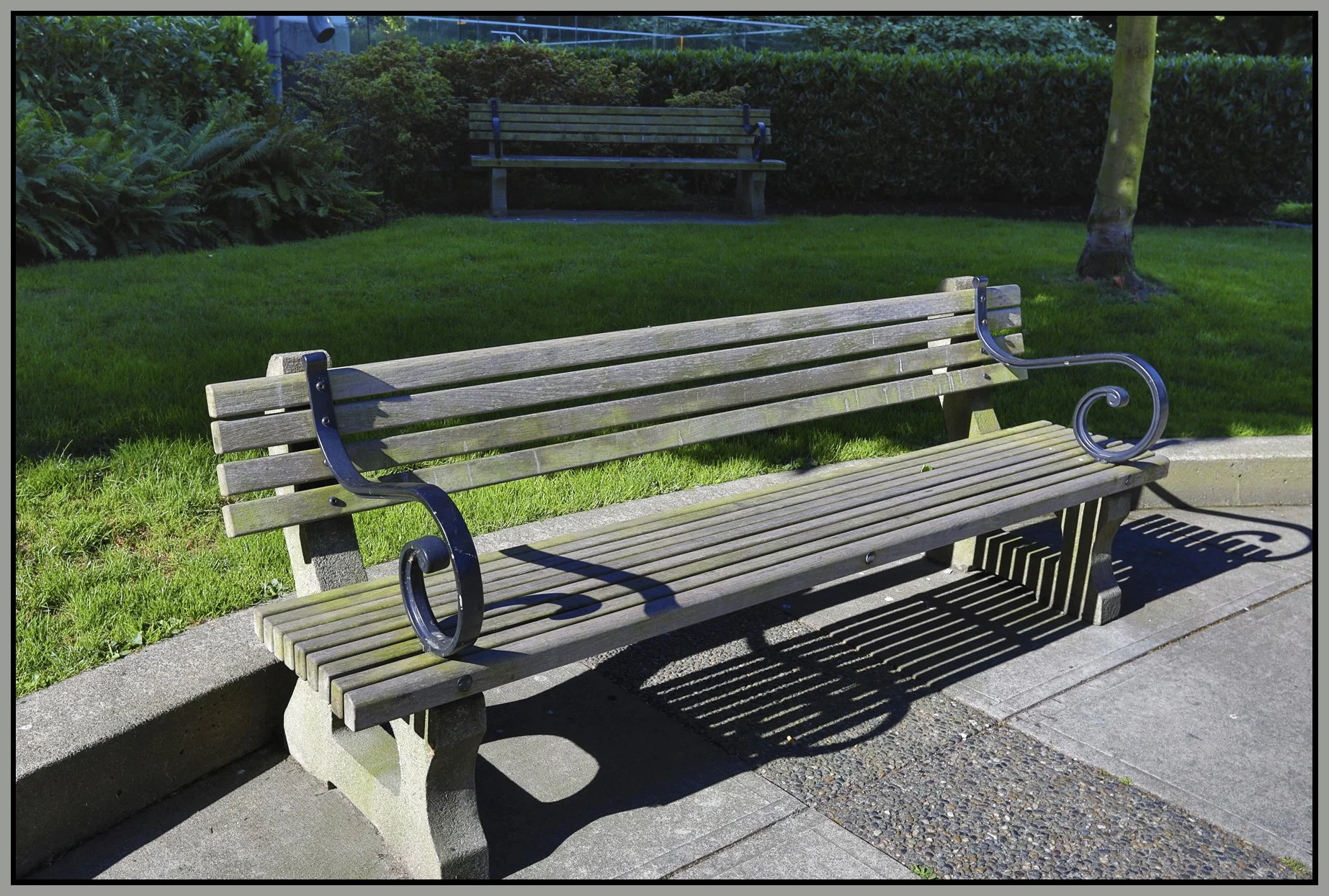 Bench on Hastings_Aug 26_2017_HDR_B9774_4x6s.jpg