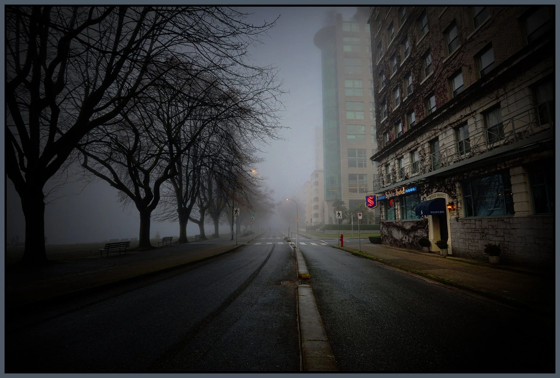 1900 Beach Ave Trees LkgW_Jan 19_2026_HDR_4K7334_pePopDrkn_4x6s.jpg