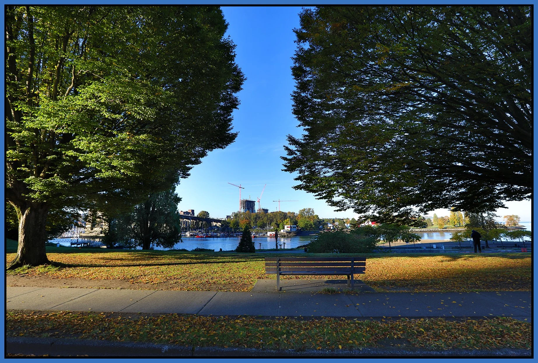 Beach Ave Trees_Senakw Const_Oct 12_2024_HDR_5E2566_4x6s.jpg