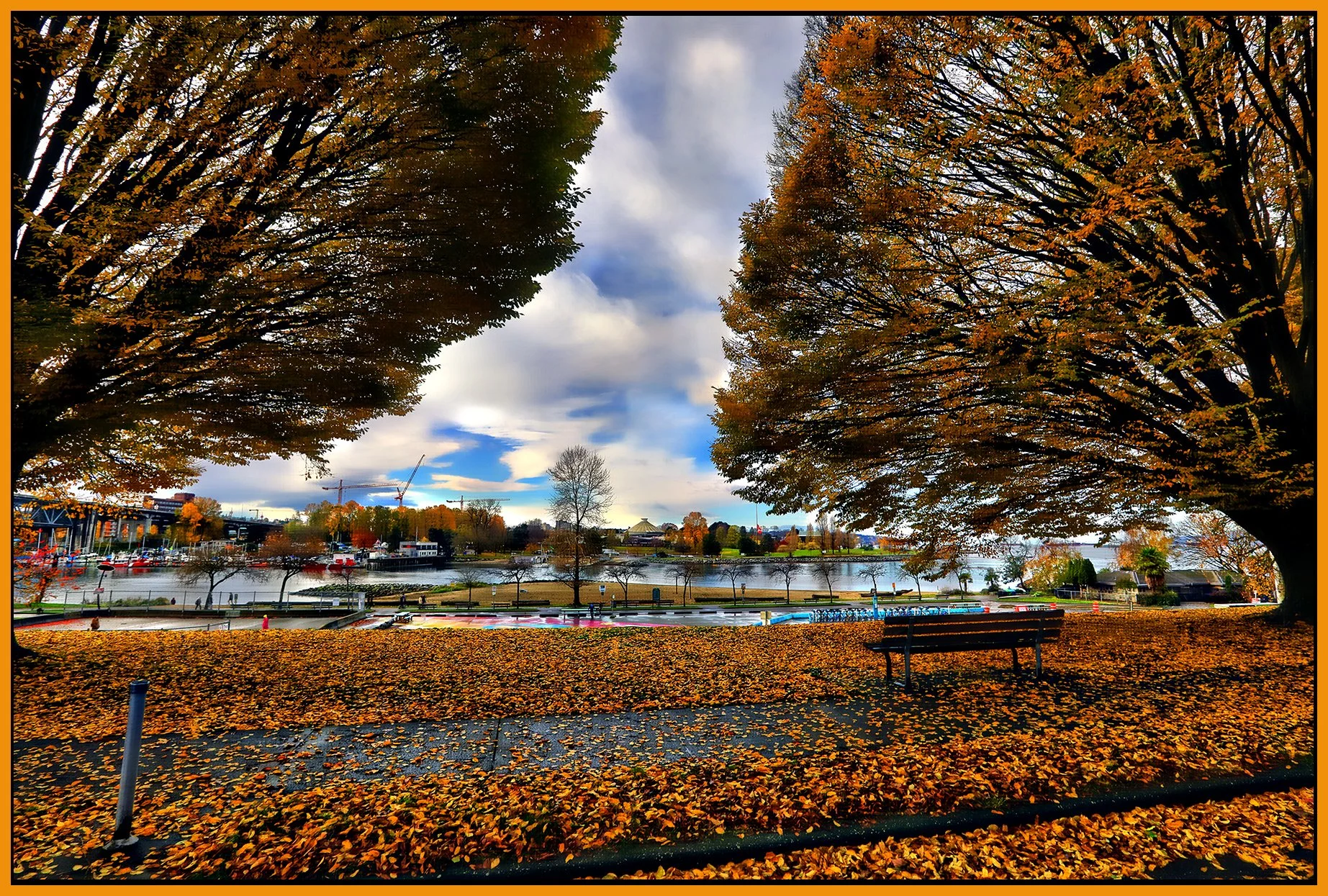 Beach Ave Trees LkgS_Nov 12_2023_HDR_5C9424_peHdr2013_1_4x6s.jpg