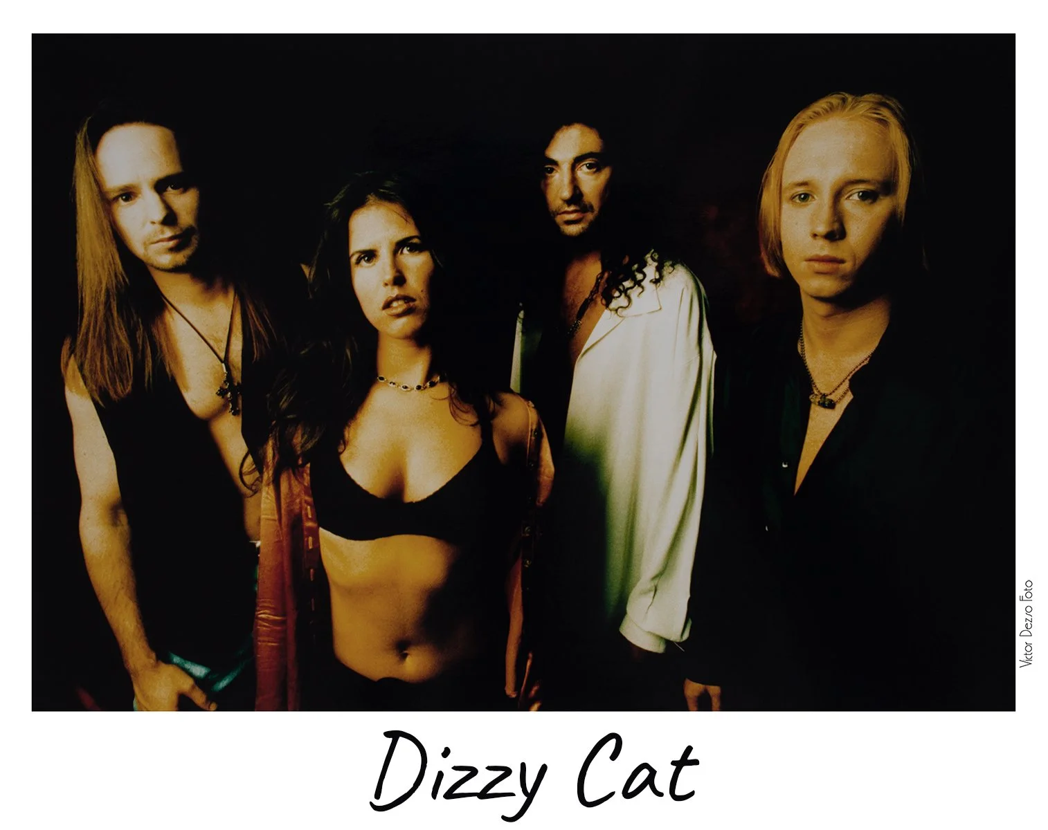 Dizzy Cat_7992_1_4x5.jpg