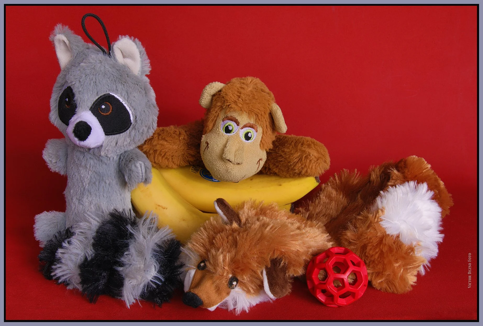 Monkey & Friends_Feb 16_2025_HDR_4J5687_4x6s.jpg