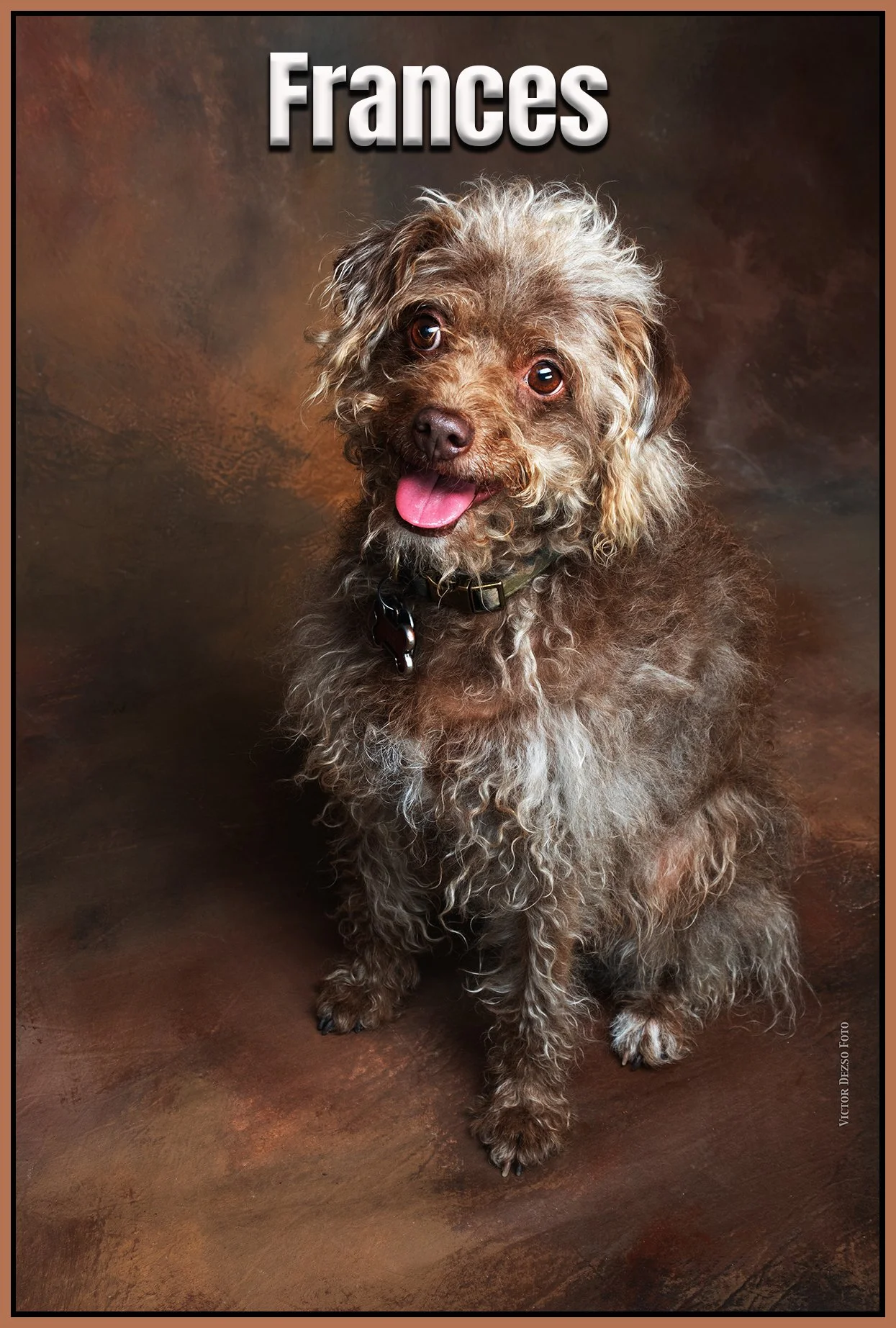 Frances_Jun 11_2023_4H7706_peShade_4x6ss.jpg