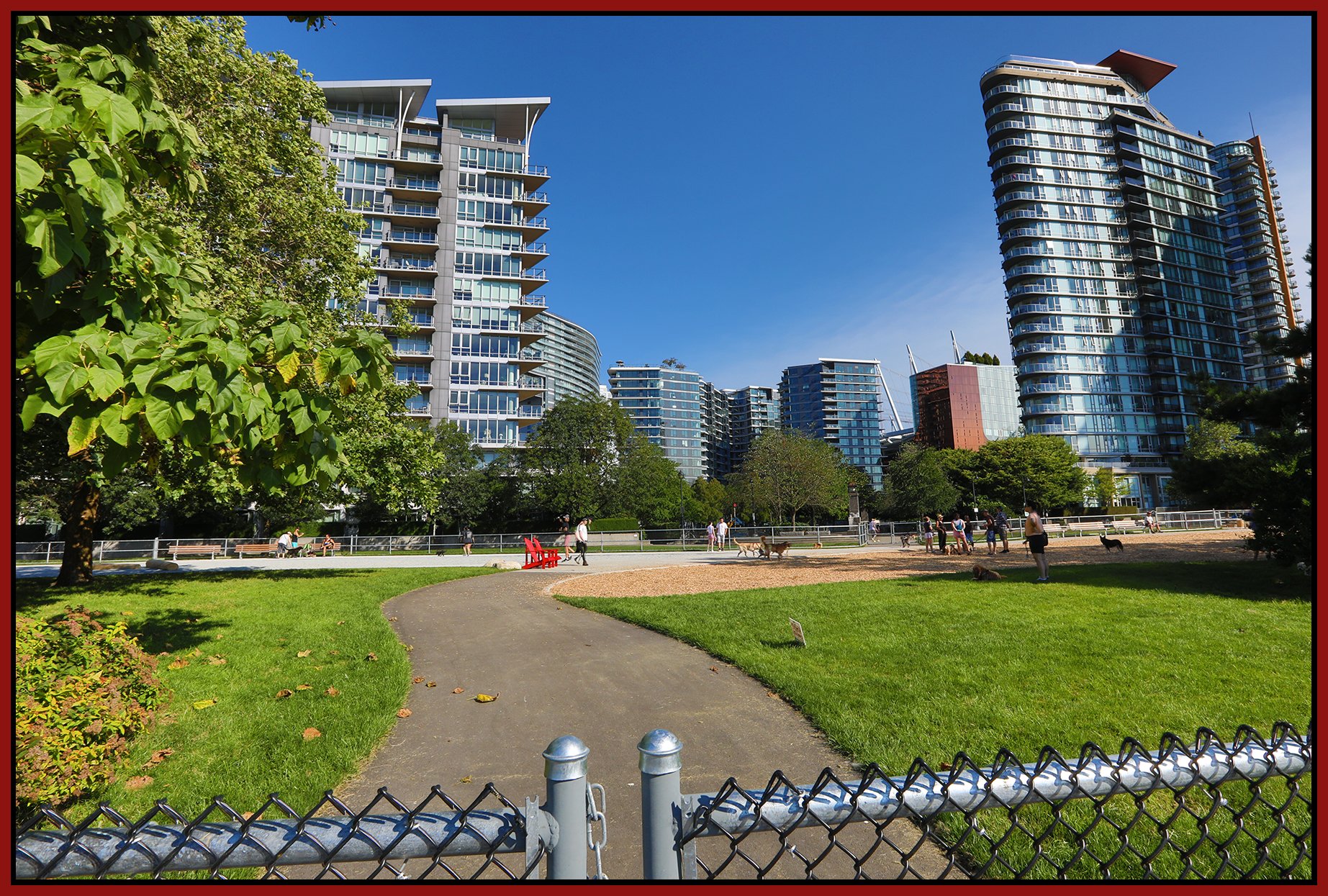 Coopers' Dog Park_Aug 4_2024_HDR_5E7618_4x6s.jpg
