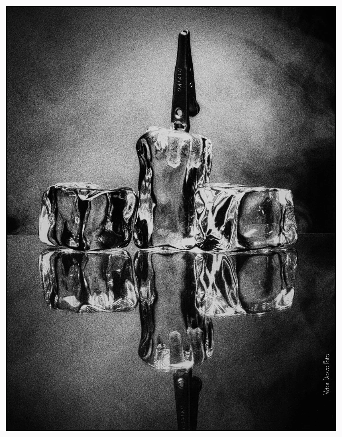 Ice Cube Clip_9487_peShrpfctBrDetl_4x5.jpg