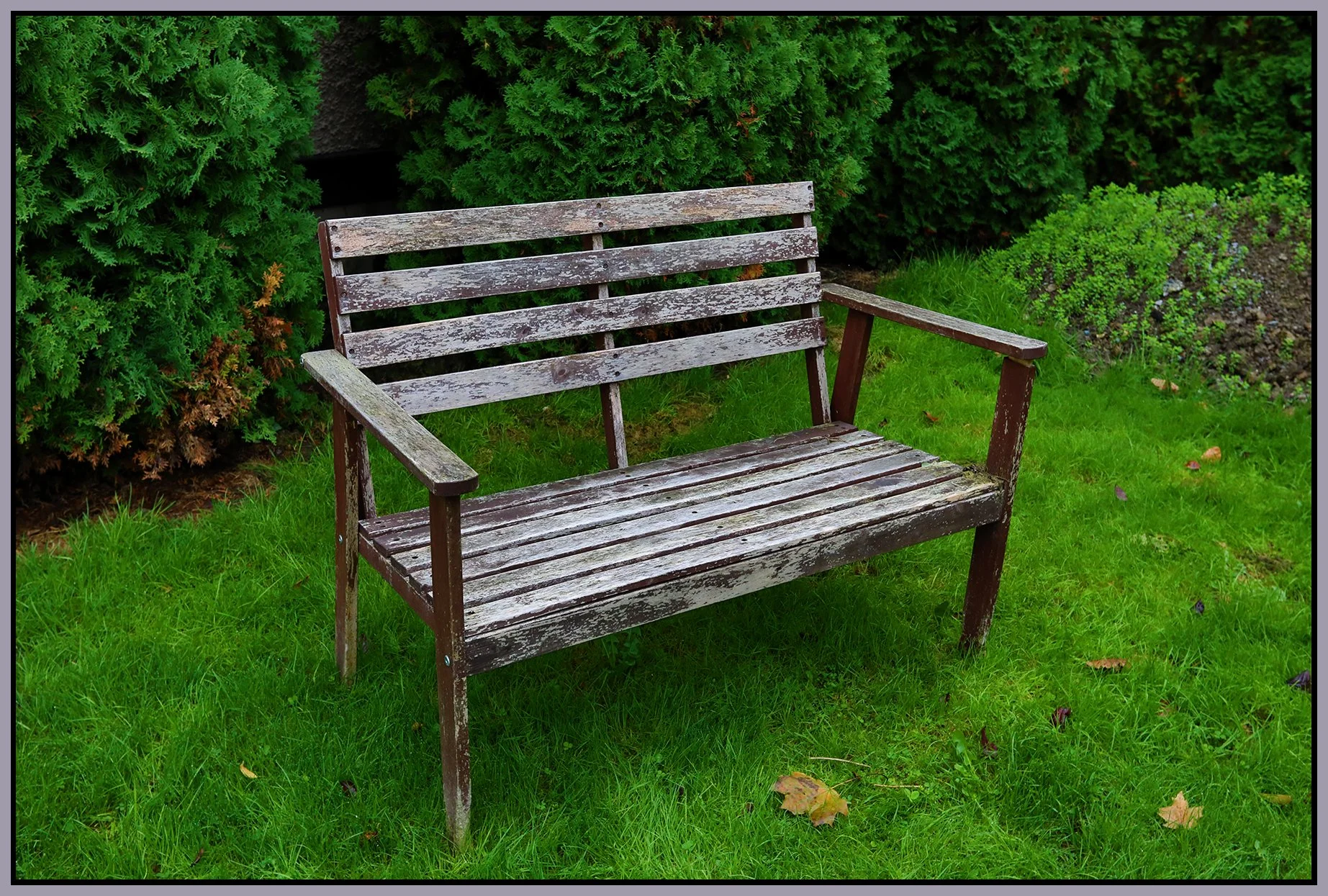 Bench on Oak St_Oct 22_2023_HDR_5C8196_4x6s.jpg