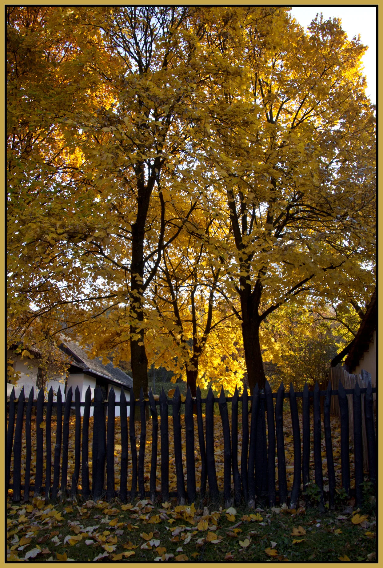 Hollókö_Nov 1_2011_4061vel_4x6s.jpg