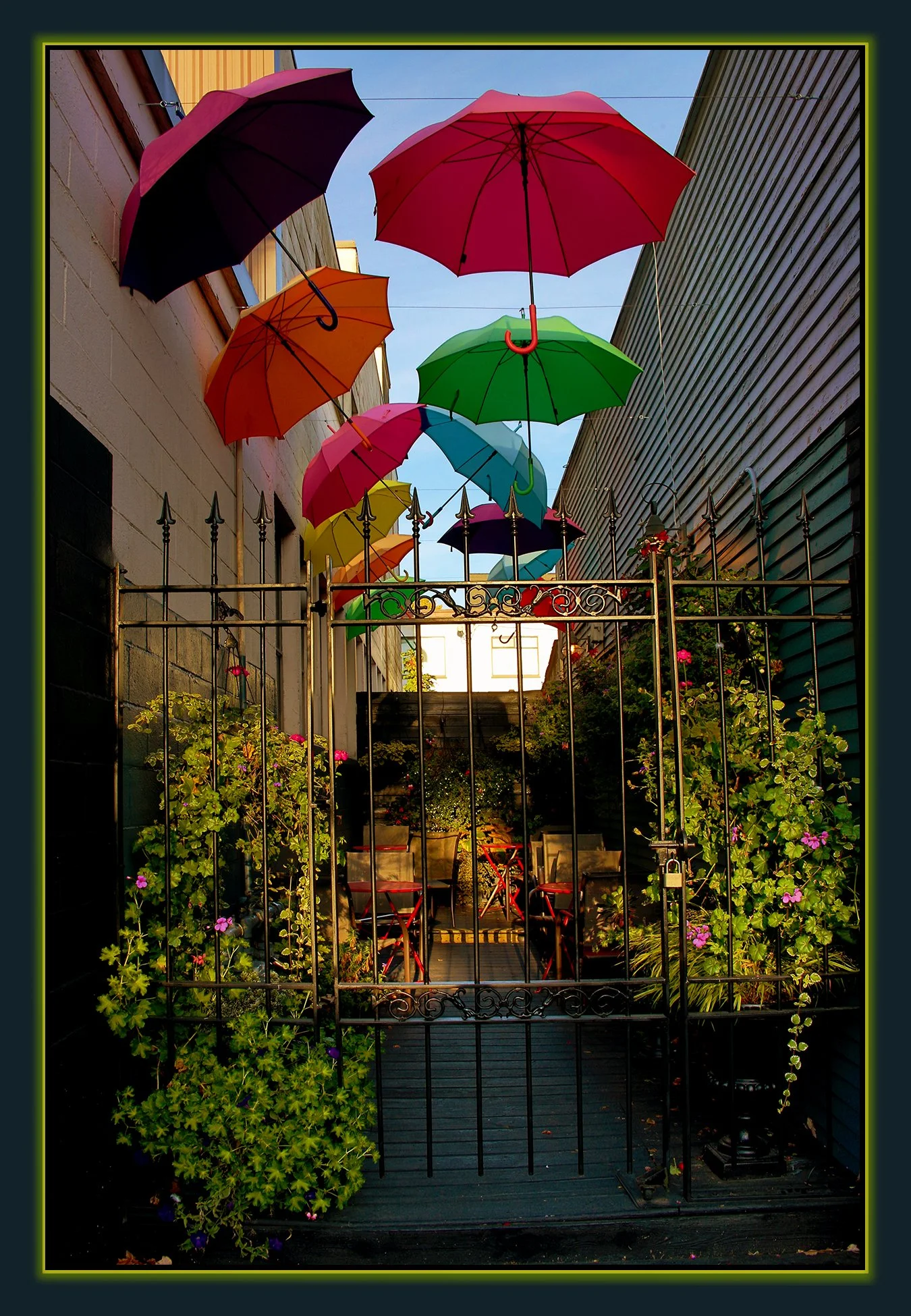 Wild Thyme in New West_Nov 1_2020_HDR_3B5017_peFbcbd_4x6s.jpg