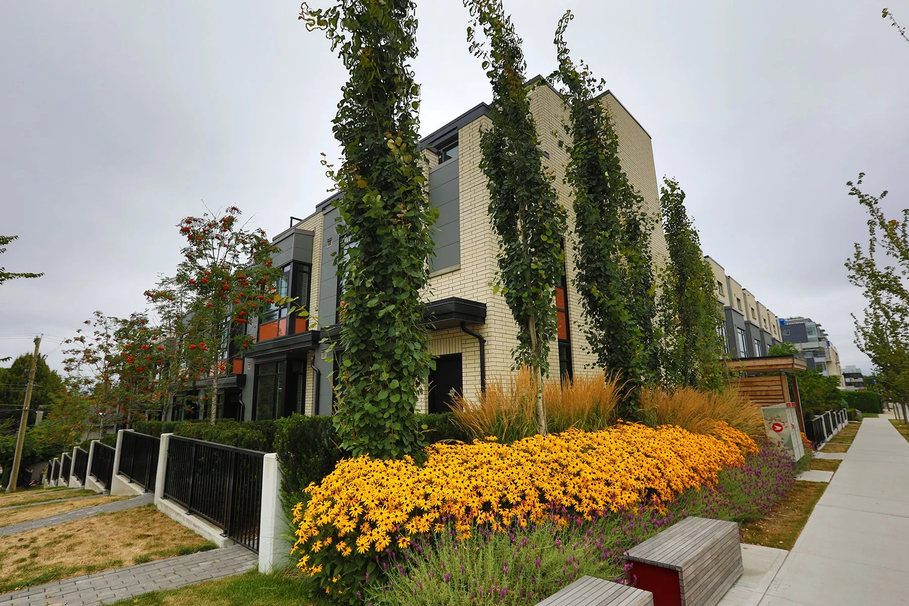 593 King Edward_Aug 1_2018_HDR_C7943_4x6.jpg