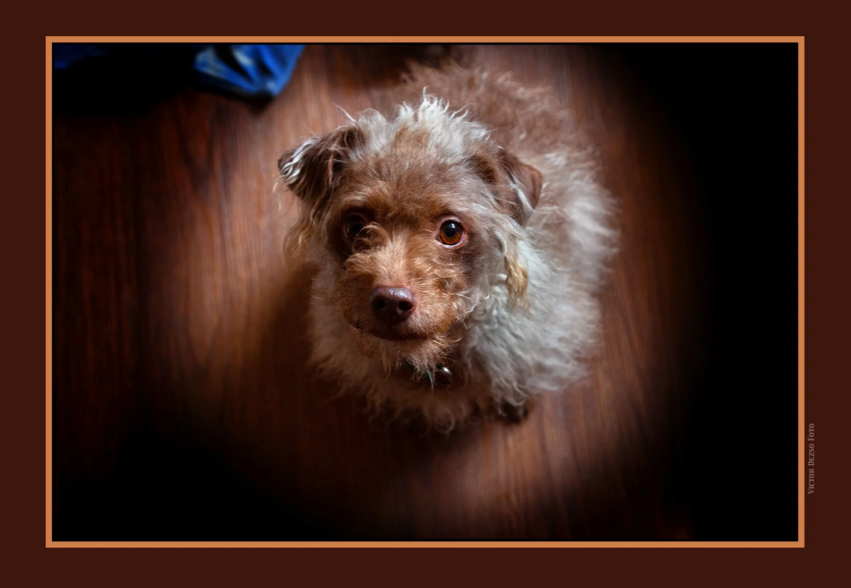 Frances_Mar 7_2021_CR2_4G5739_4x6_1ss.jpg