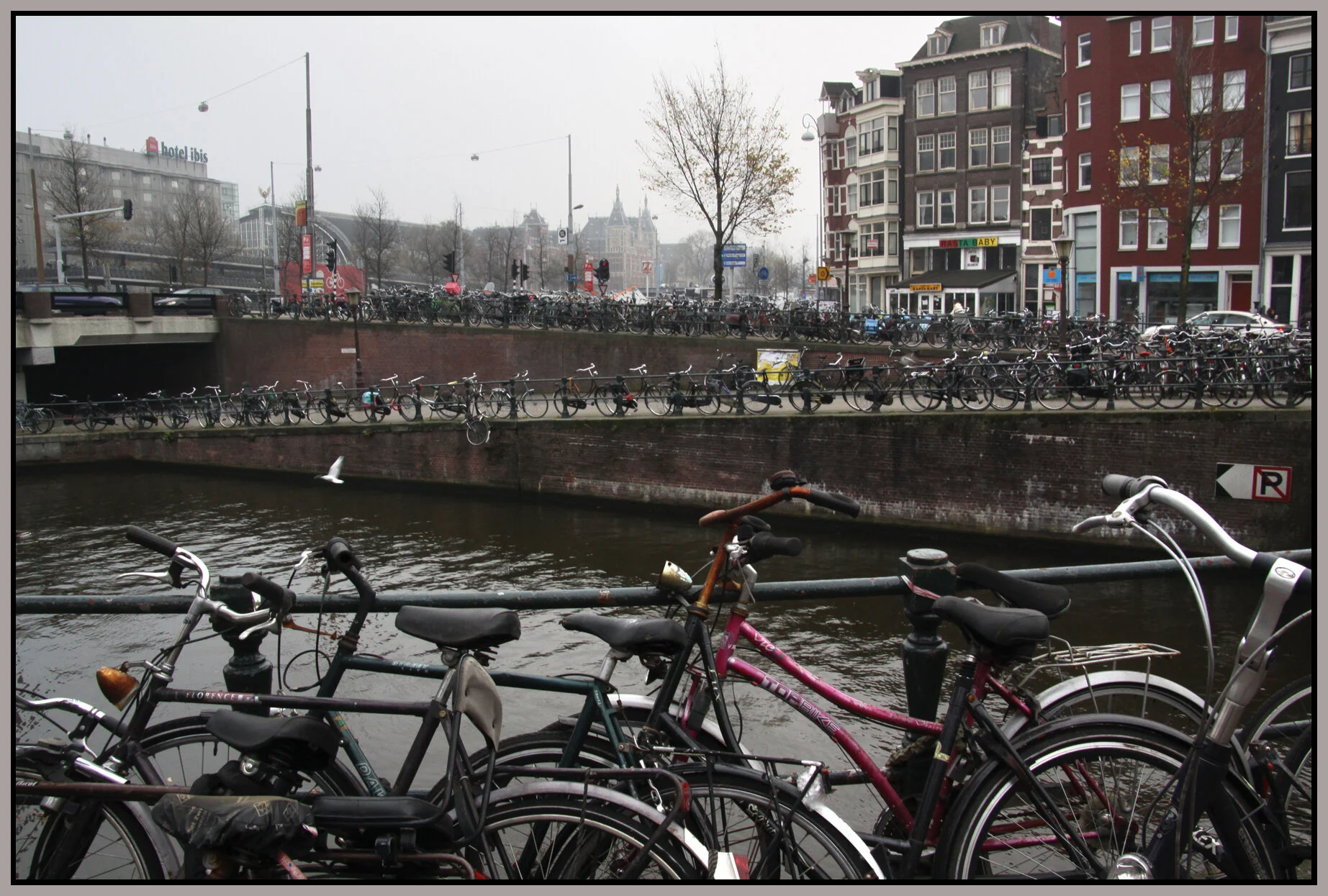 Amsterdam_Nov 8_2011_6631_4x6s.jpg