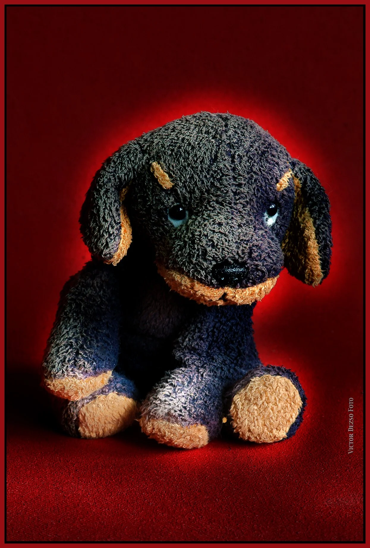 Purple Puppy_Aug 15_2025_HDR_4K1076_peSoftblur_SmrtCntrst_4x6s.jpg