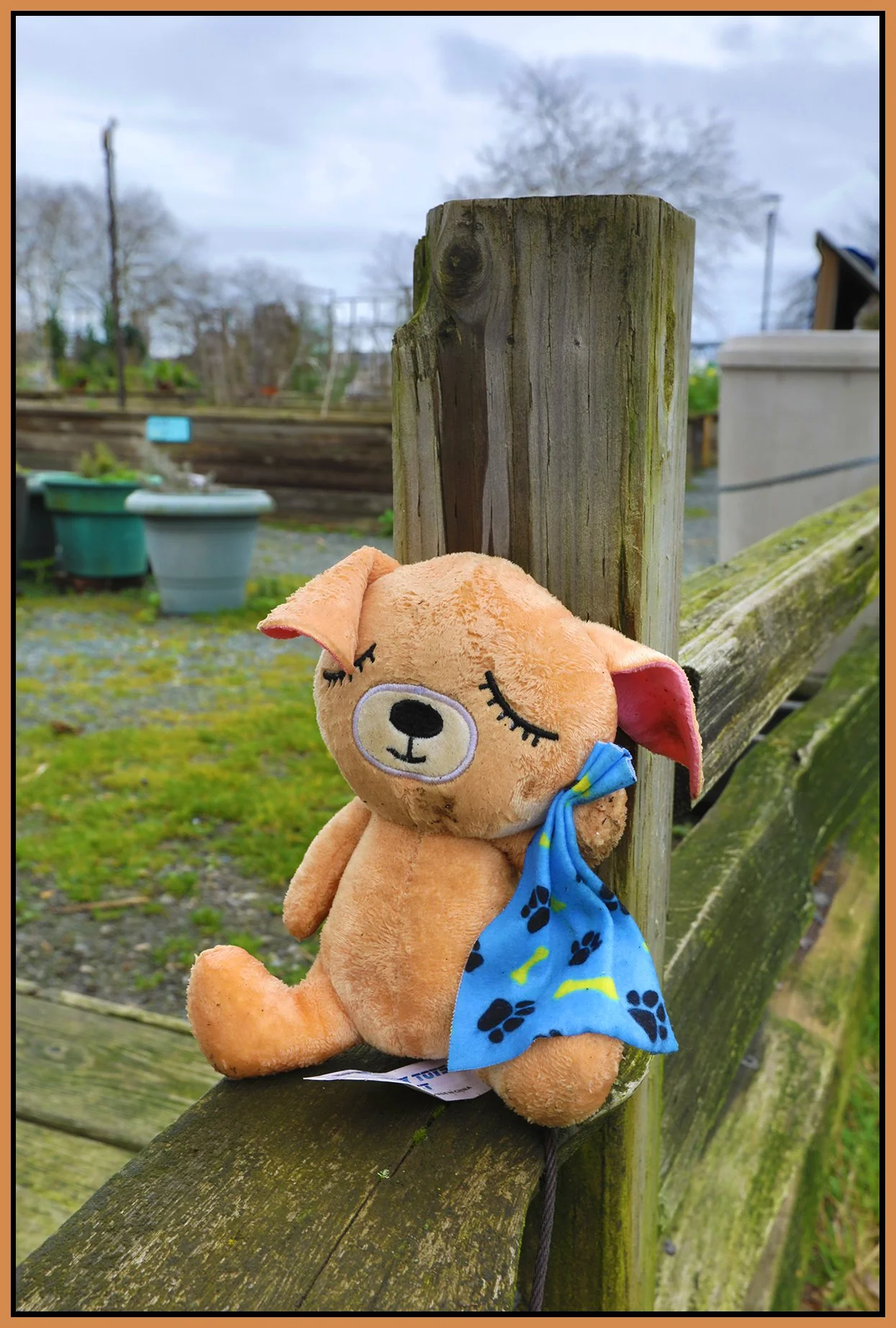 Charleson Park Tot Toy_Mar 4_2026_HDR_4K9355_4x6s.jpg